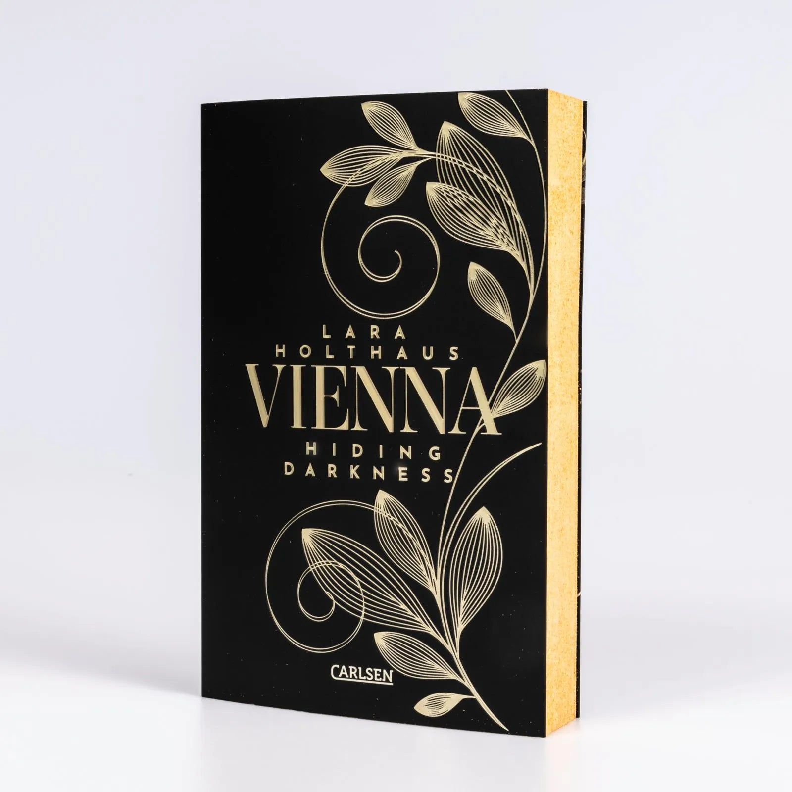Lara Holthaus - Vienna 2: Hiding Darkness
