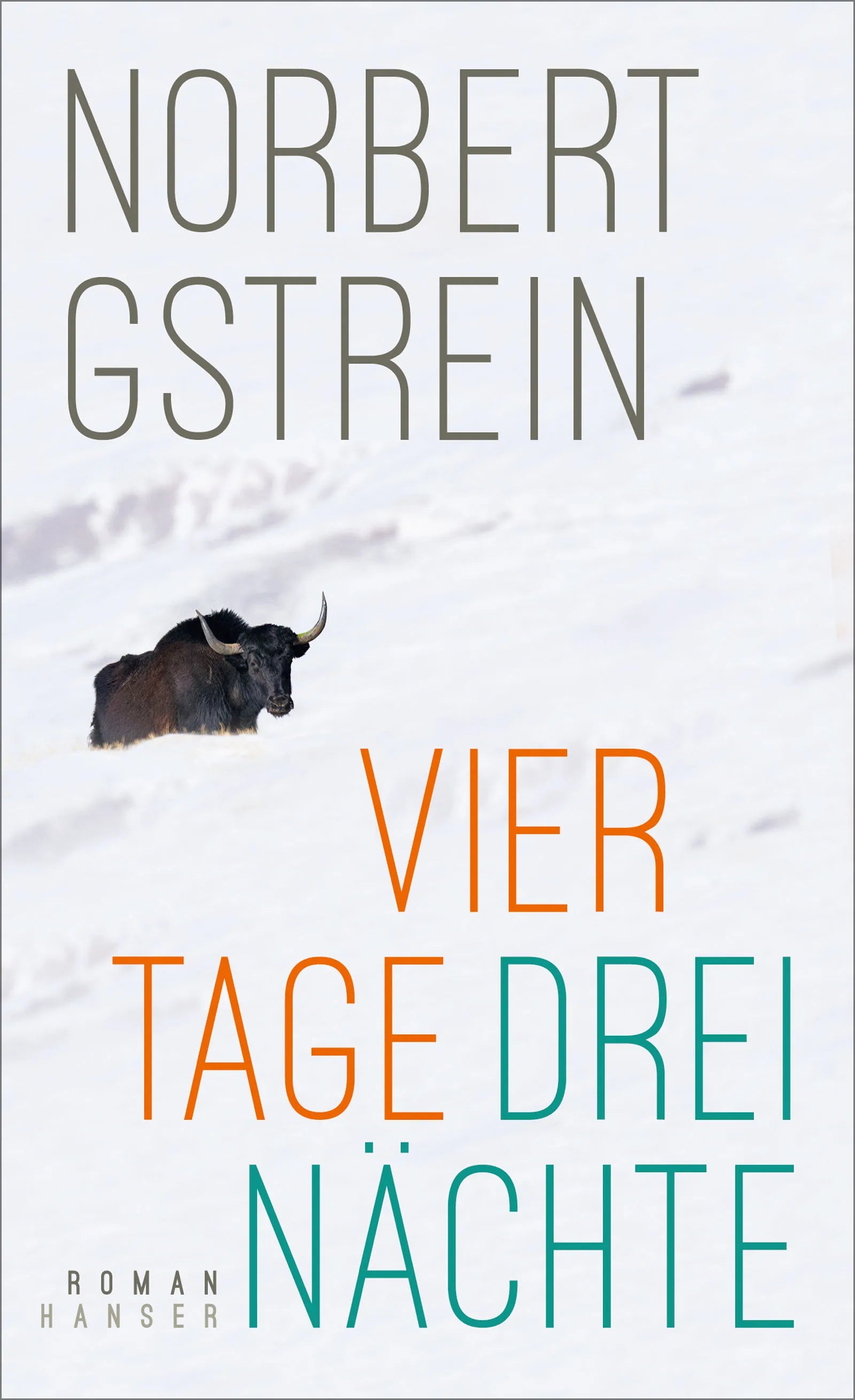 Buchcover von 'Vier Tage, drei Nächte' - Gebundene Ausgabe von Norbert Gstrein