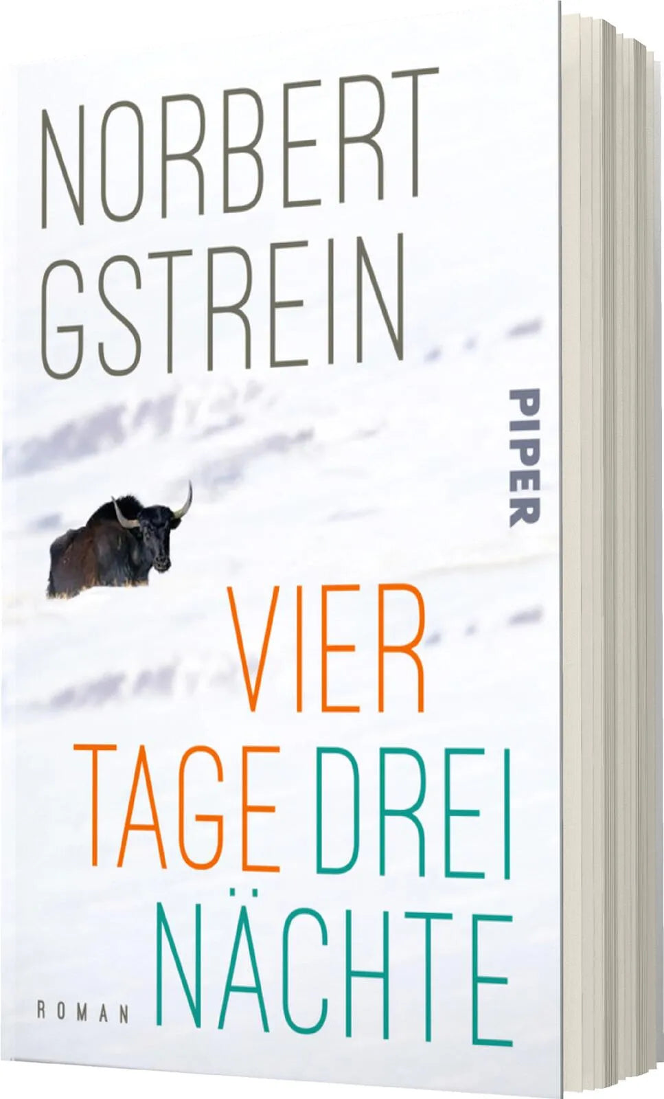 Norbert Gstrein - Vier Tage, drei Nächte