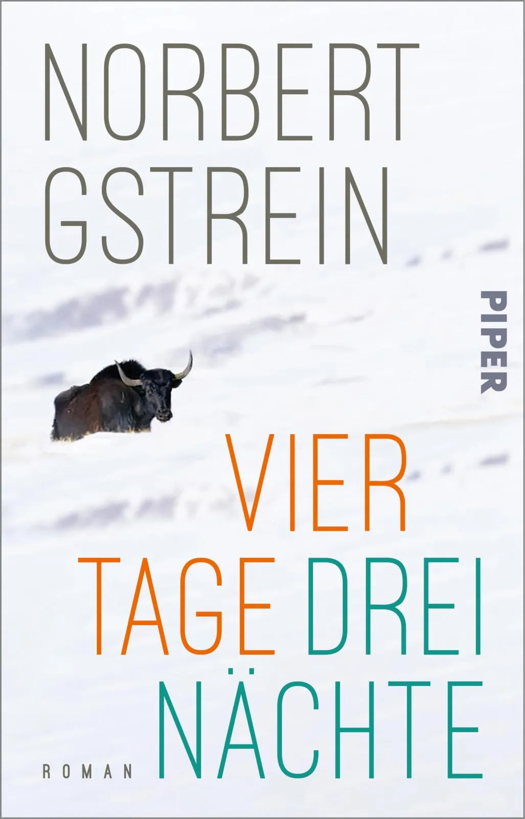 Buchcover von 'Vier Tage, drei Nächte' - Taschenbuch von Norbert Gstrein