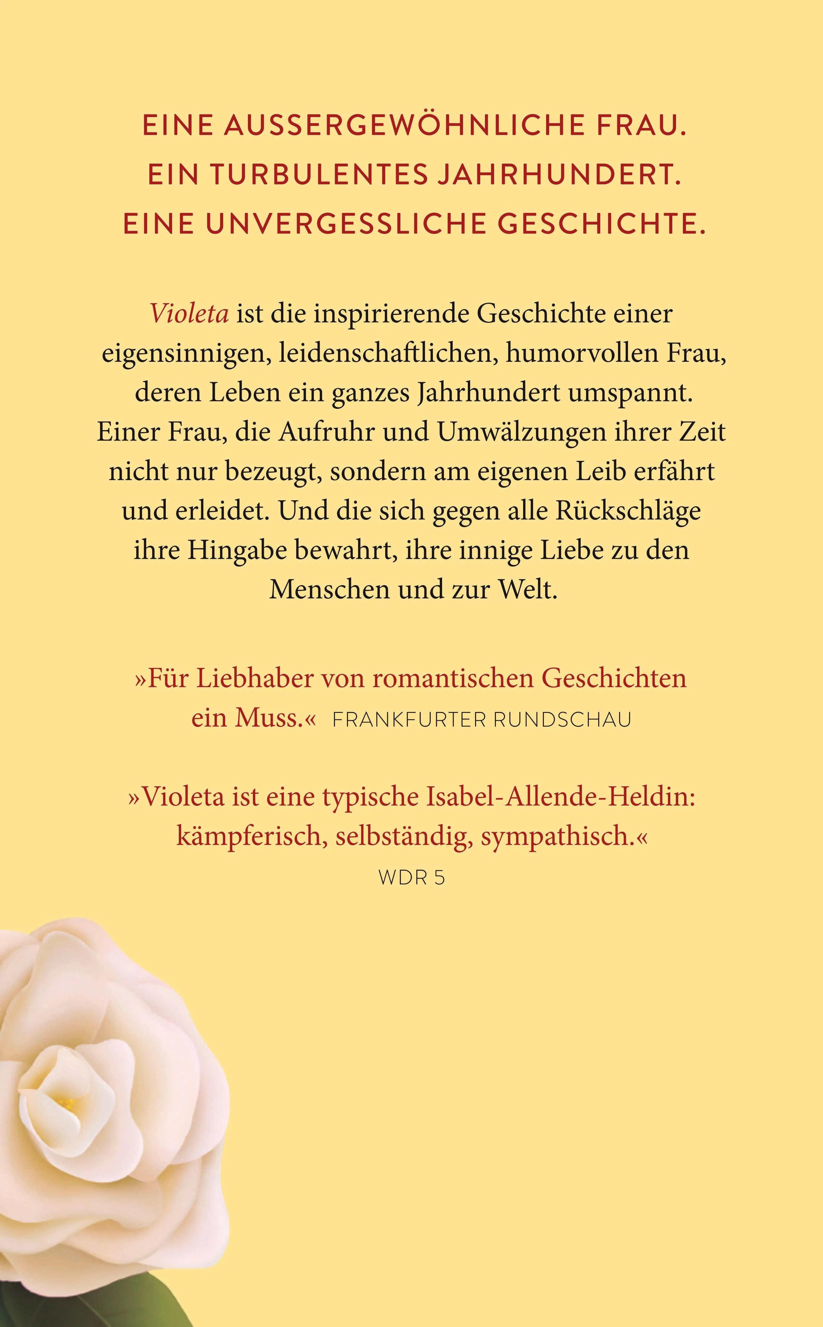 Rückseite: Violeta (Taschenbuch)