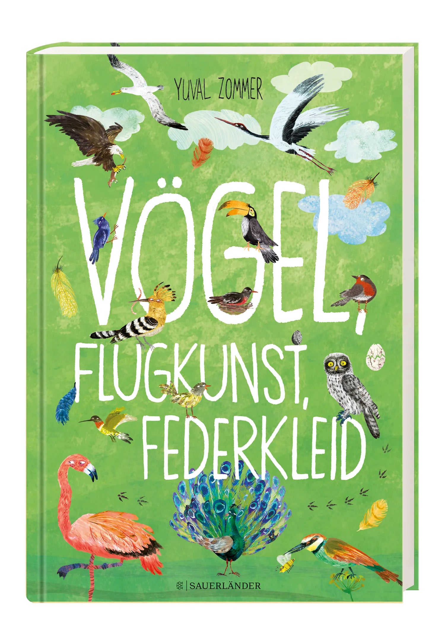 Yuval Zommer - Vögel, Flugkunst, Federkleid