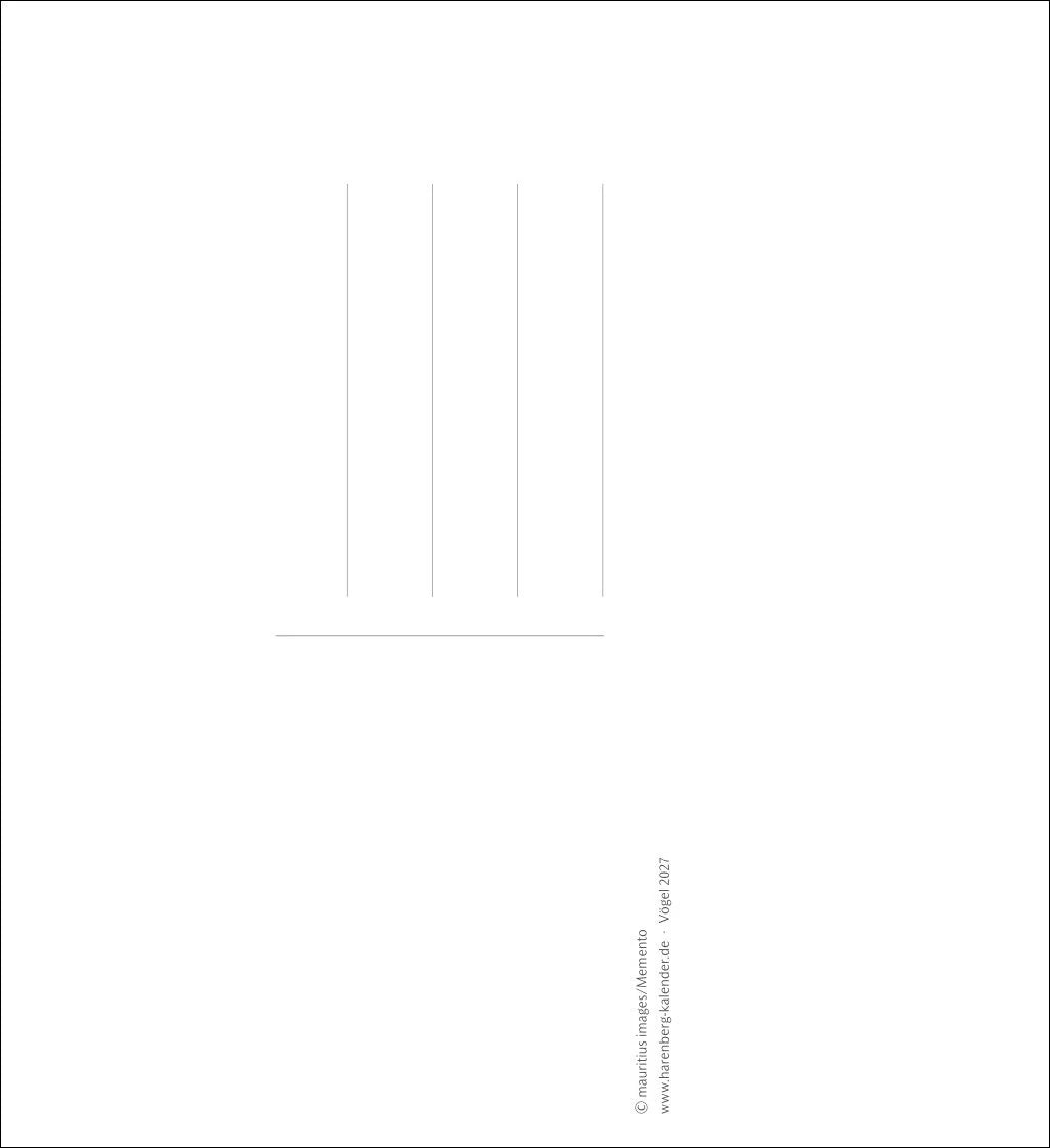 Vögel Postkartenkalender 2027 - Postkartenkalender mit 53 historischen Zeichnungen – Ansicht