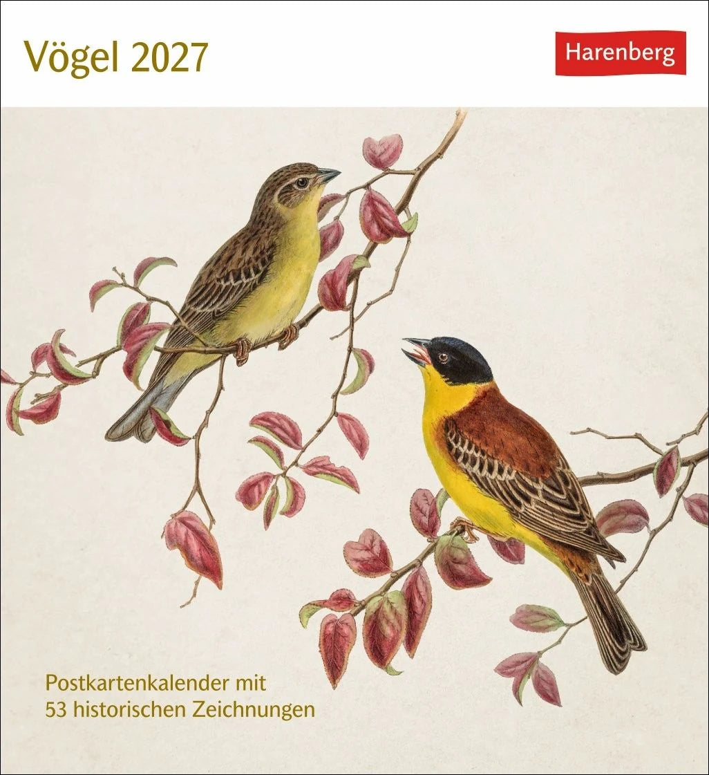 Postkartenkalender: Vögel Postkartenkalender 2027 - Postkartenkalender mit 53 historischen Zeichnungen