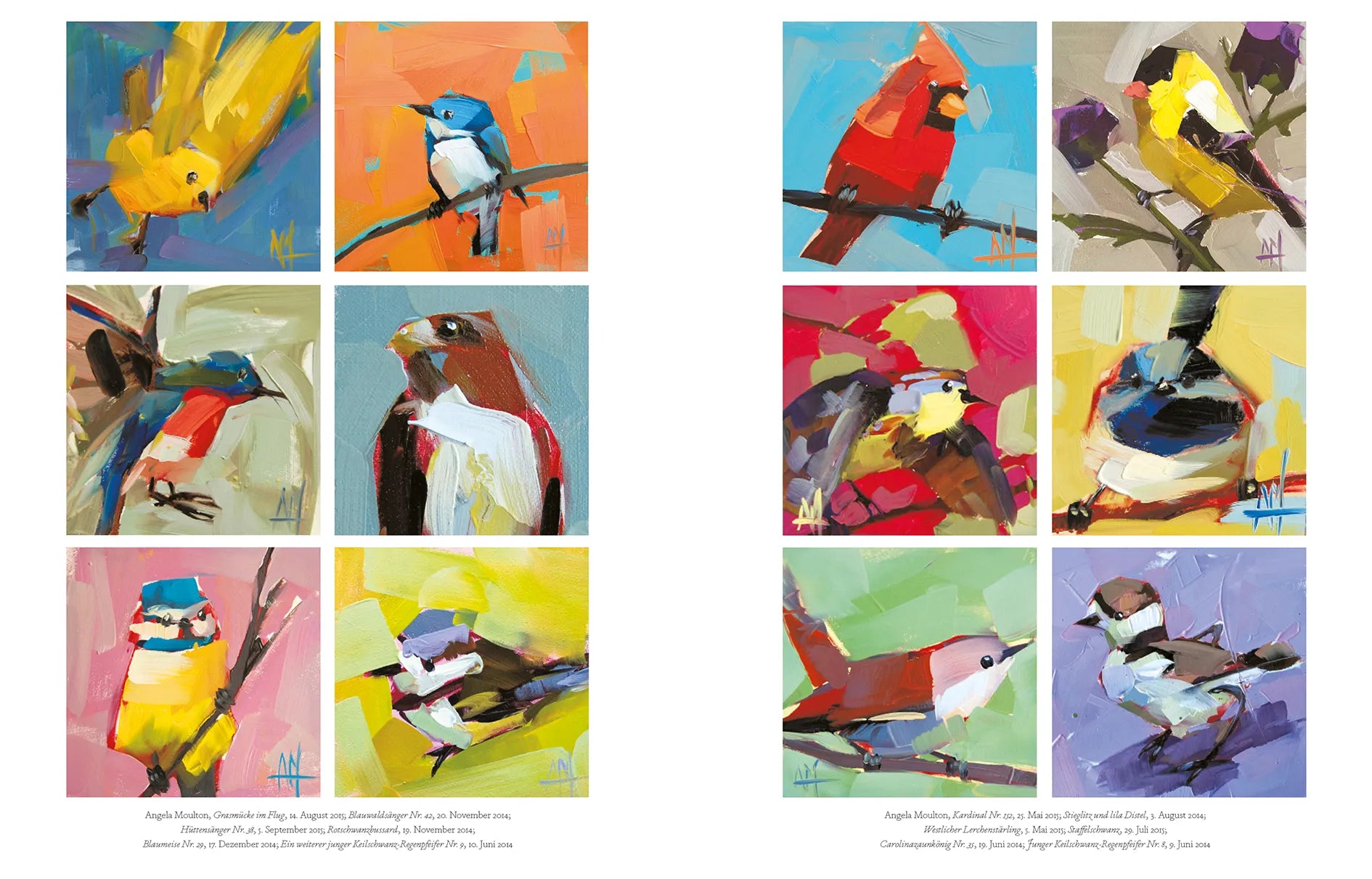 Produktansicht: Vögel in der Kunst (Taschenbuch)