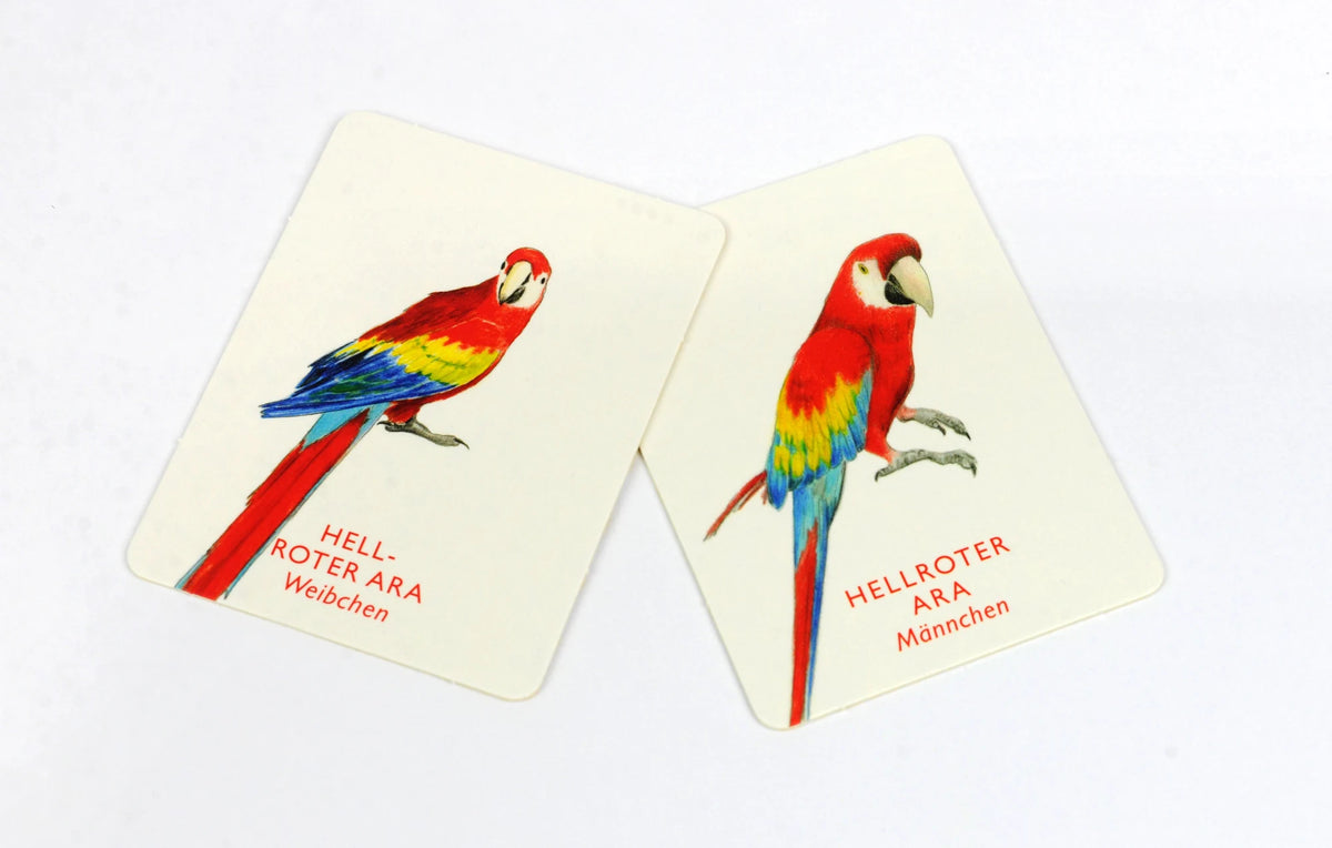 Vogelpaare – Ansicht