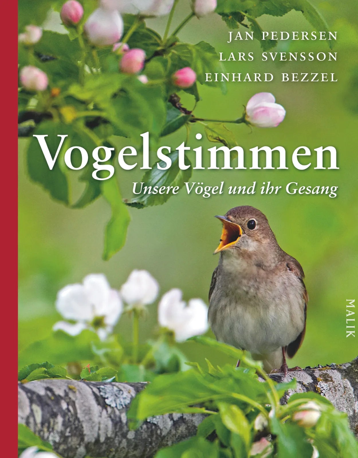 Buchcover von 'Vogelstimmen' - Gebundene Ausgabe von Jan Pedersen