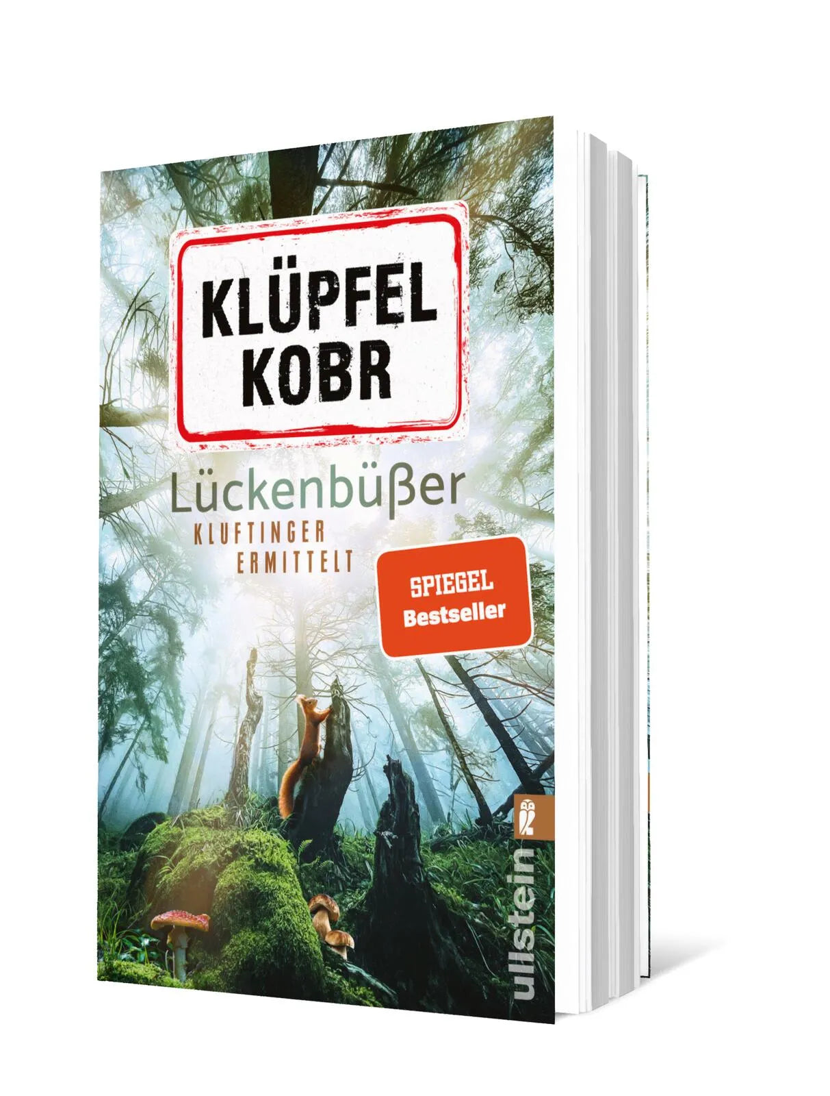 Produktansicht: Lückenbüßer (Taschenbuch)