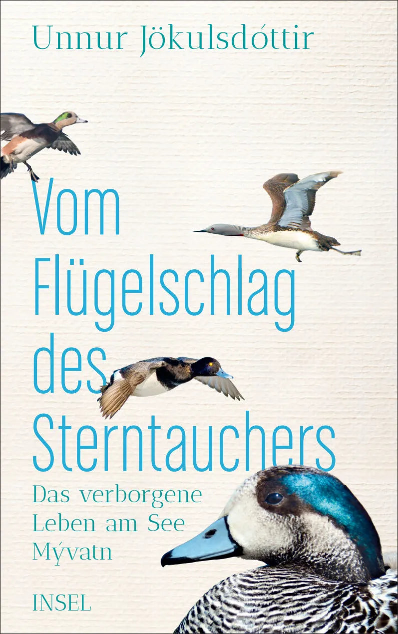 Buchcover von 'Vom Flügelschlag des Sterntauchers' - Gebundene Ausgabe von Unnur Jökulsdóttir