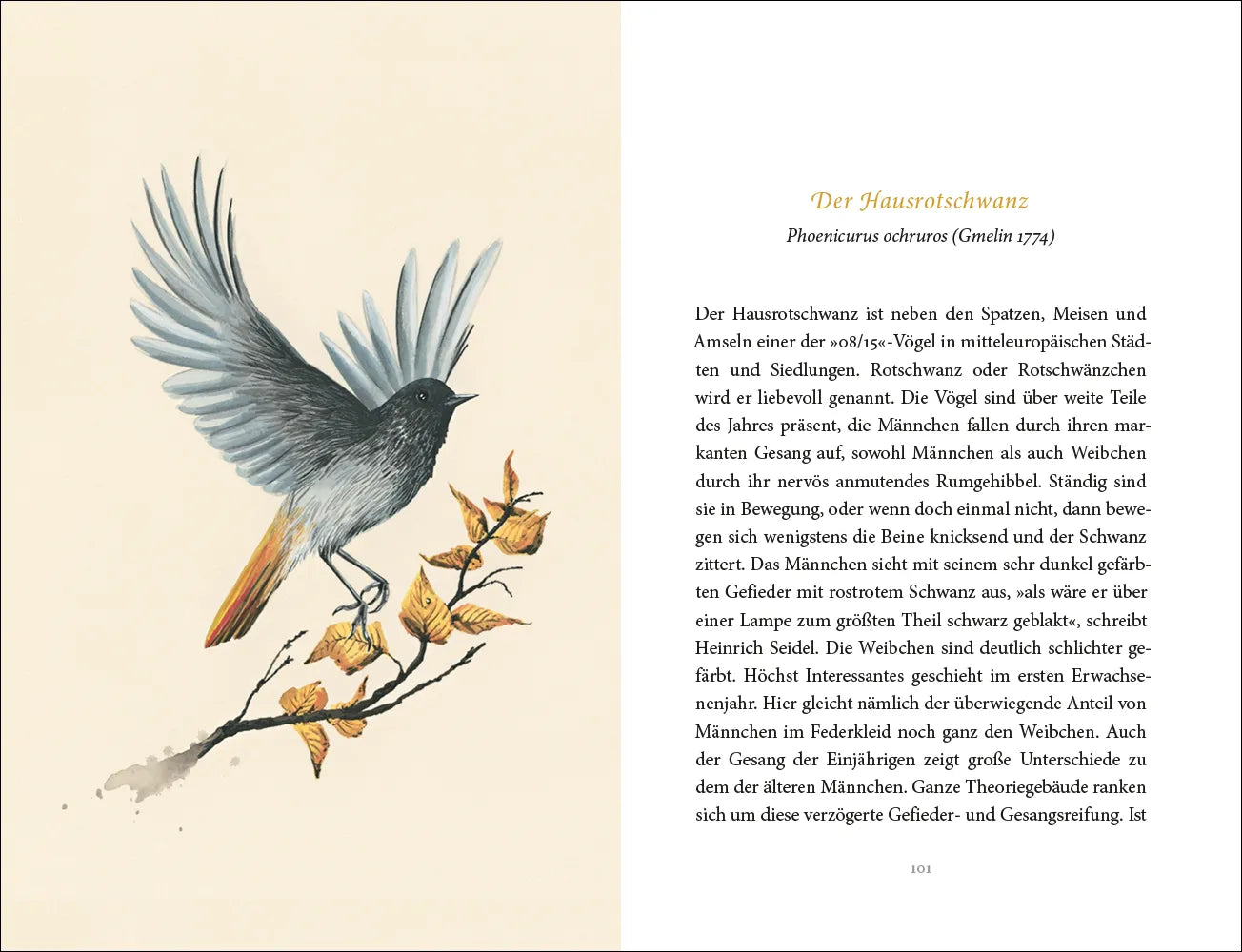 Abbildung von 'Vom Glück des Vogelgesangs'
