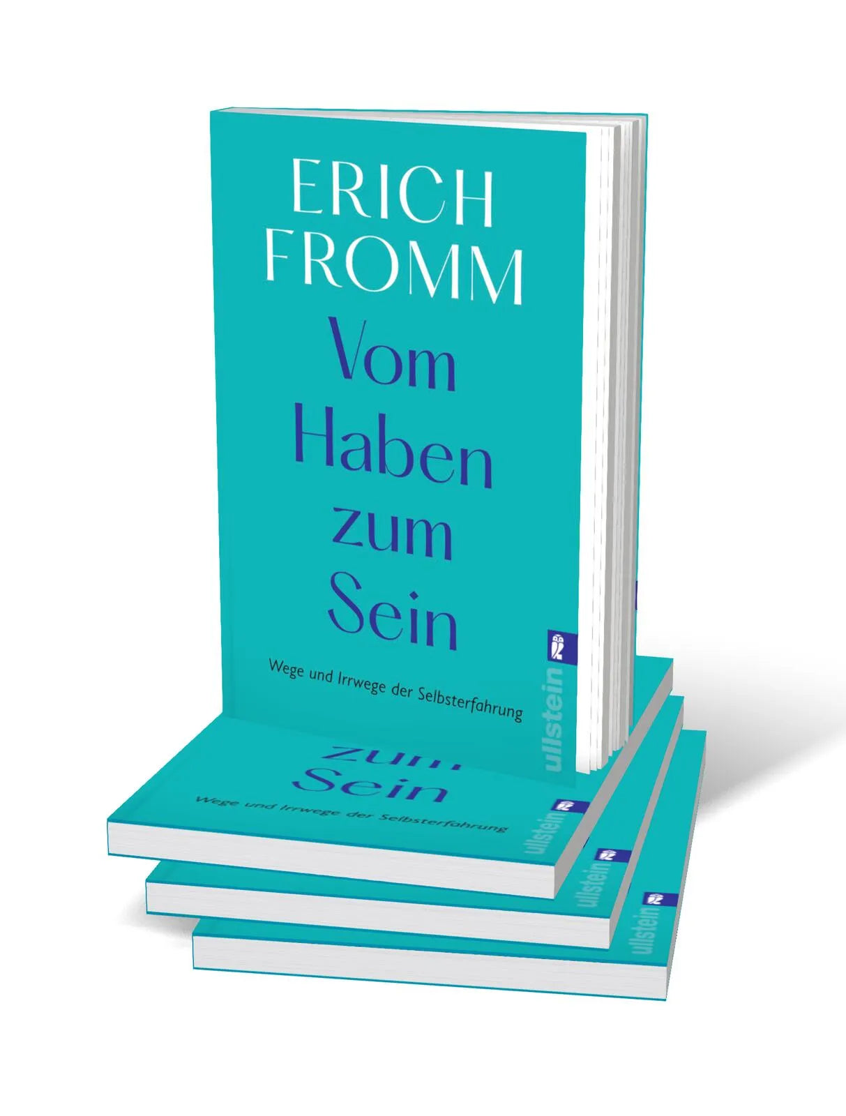 Abbildung von 'Vom Haben zum Sein'