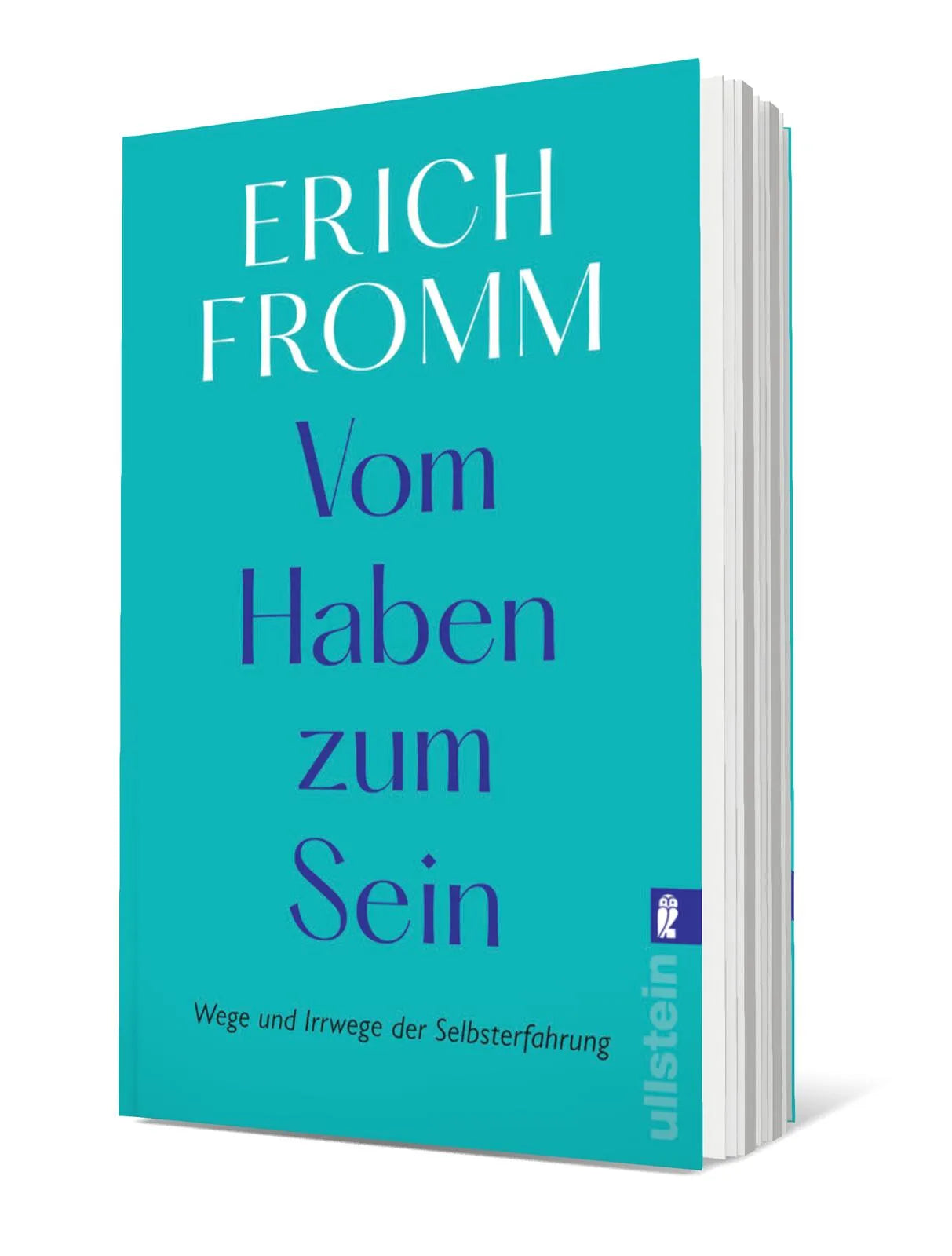 Produktansicht: Vom Haben zum Sein (Taschenbuch)