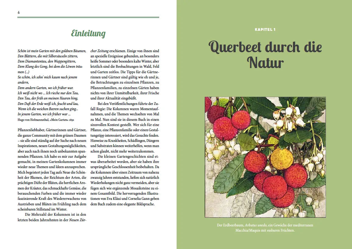 Abbildung von 'Von fiesen Schädlingen, duftenden Kräutern und üppigen Blumen'