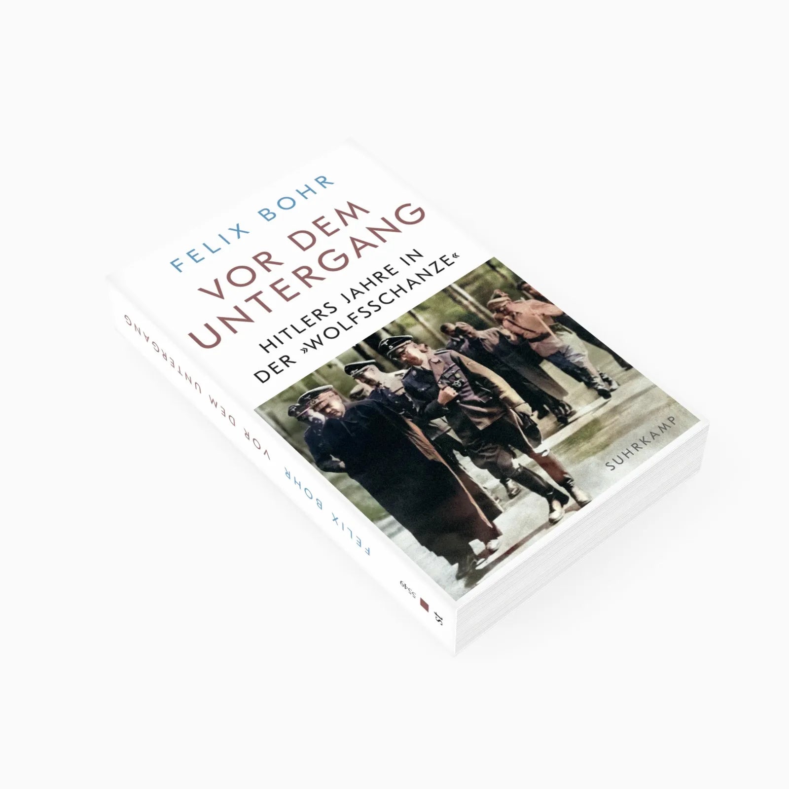Detailansicht: Vor dem Untergang (Taschenbuch)