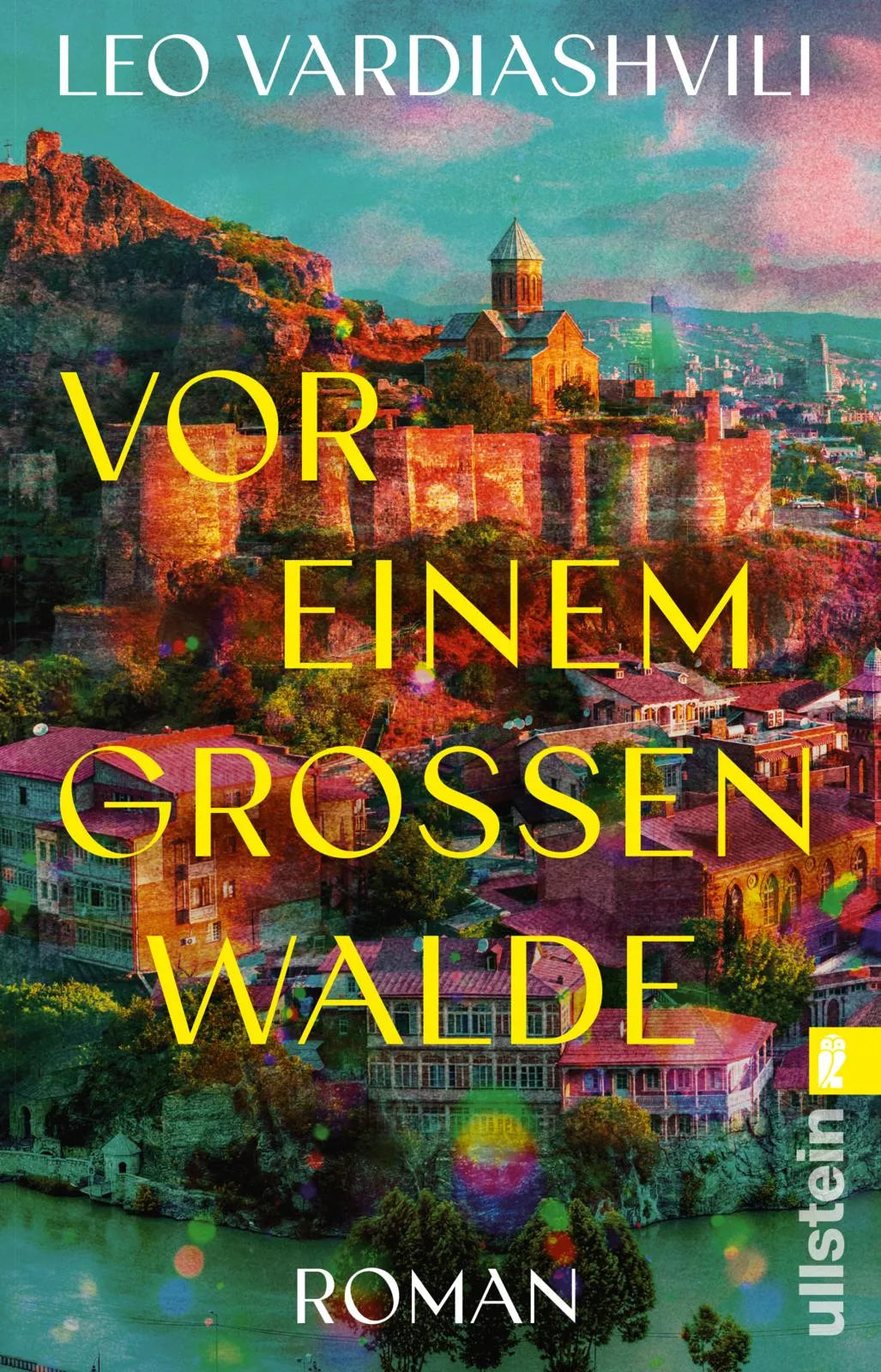 Buchcover von 'Vor einem großen Walde' - Taschenbuch von Leo Vardiashvili