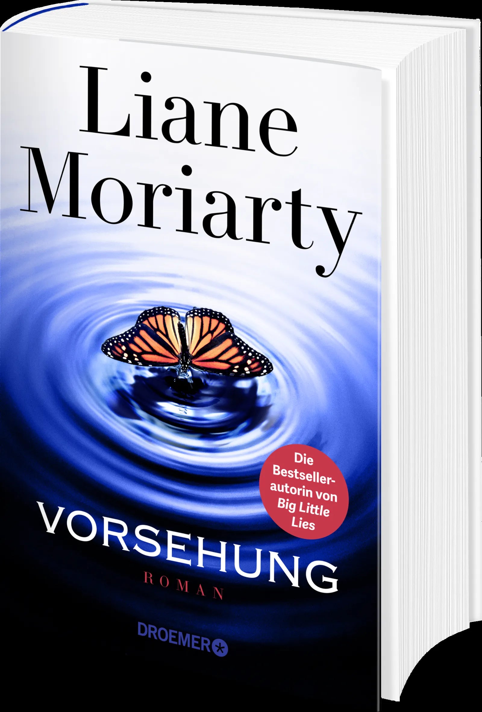 Detailansicht: Vorsehung (Hardcover)