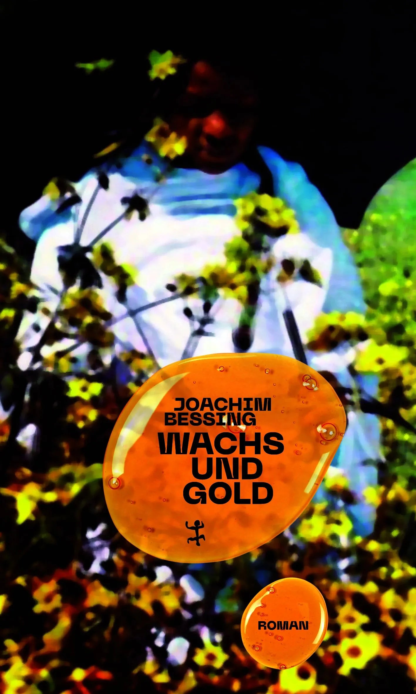 Cover: Wachs und Gold (E-Book) von Joachim Bessing