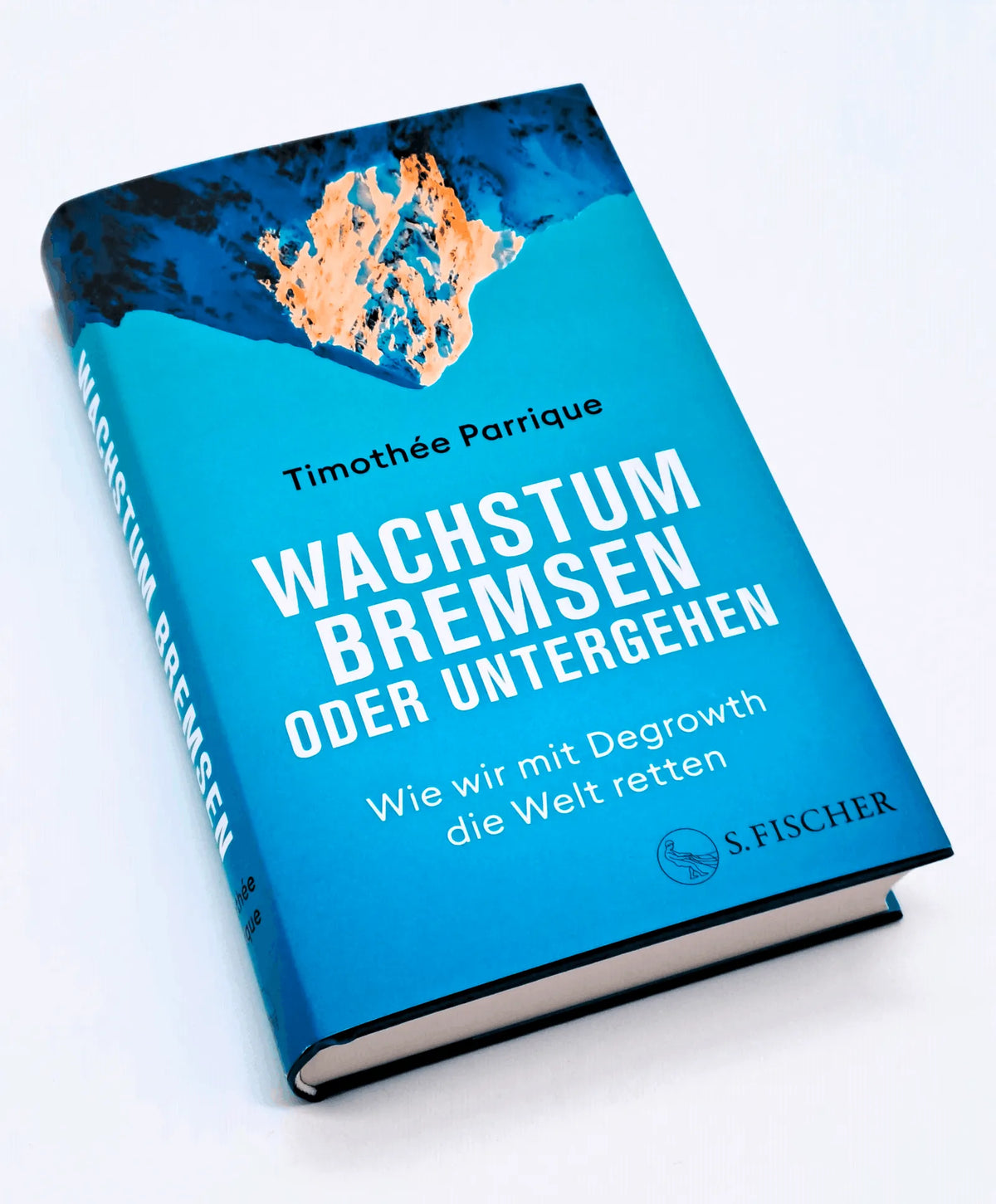 Detailansicht: Wachstum bremsen oder untergehen (Hardcover)