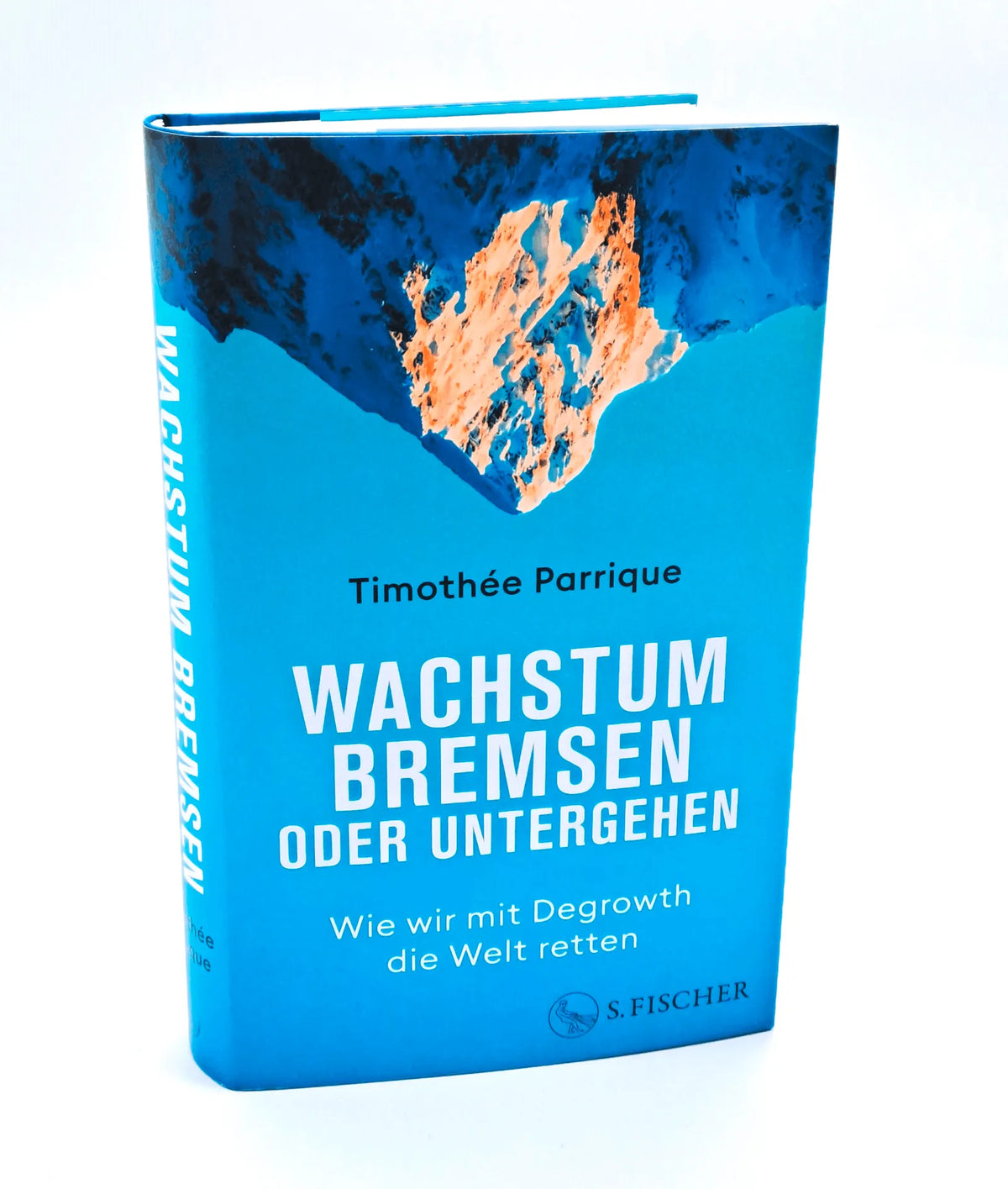 Detailansicht: Wachstum bremsen oder untergehen (Hardcover)