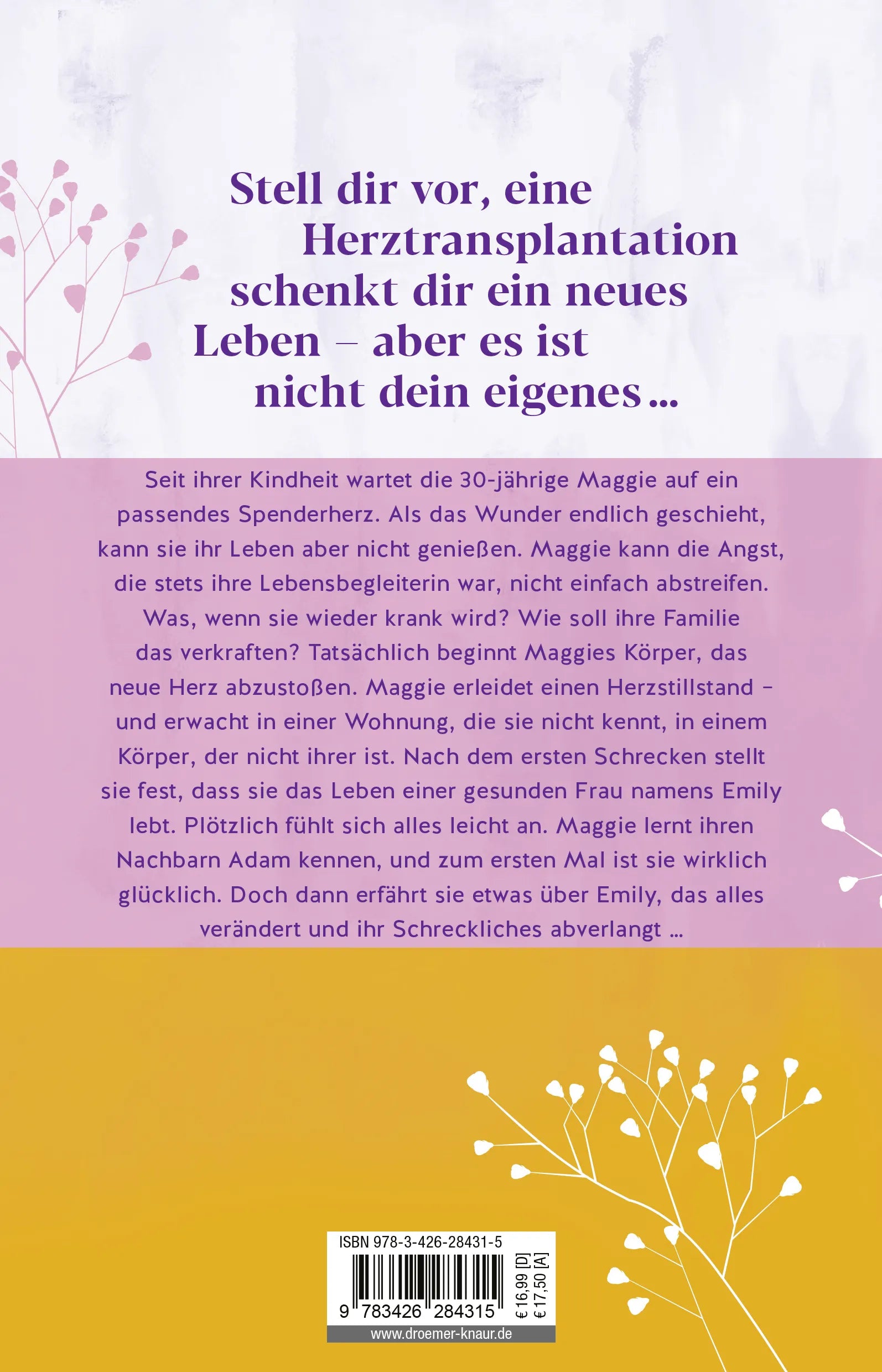 Buchrückseite von 'Während ich hier bin' mit Klappentext - Paperback