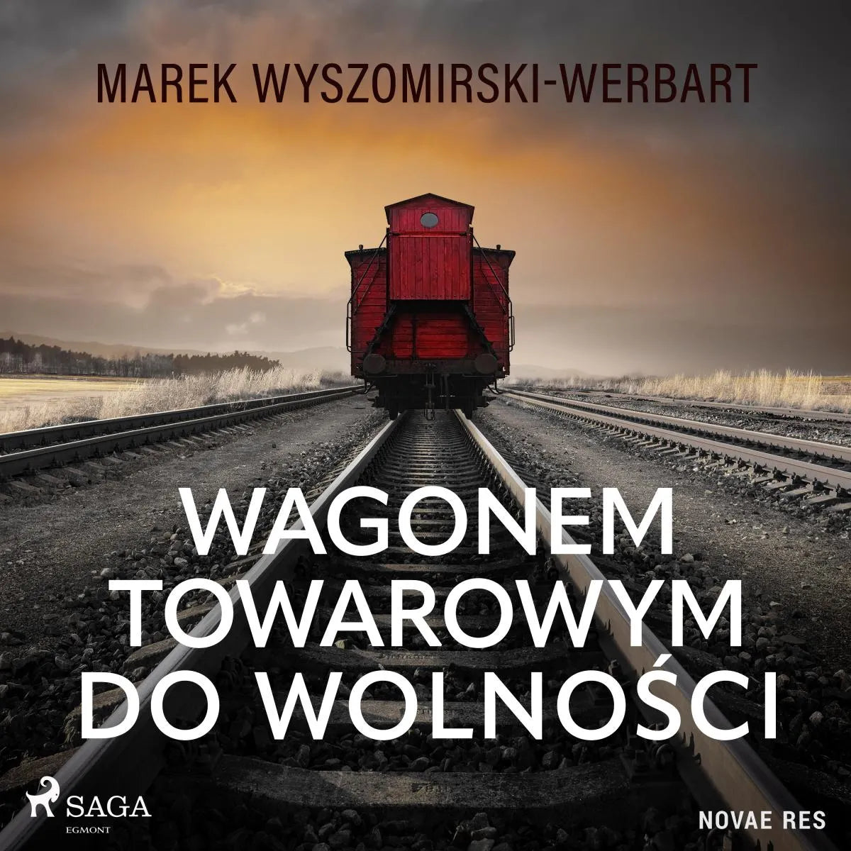 Cover: Wagonem towarowym do wolności (Hörbuch Download) von Marek Wyszomirski-Werbart