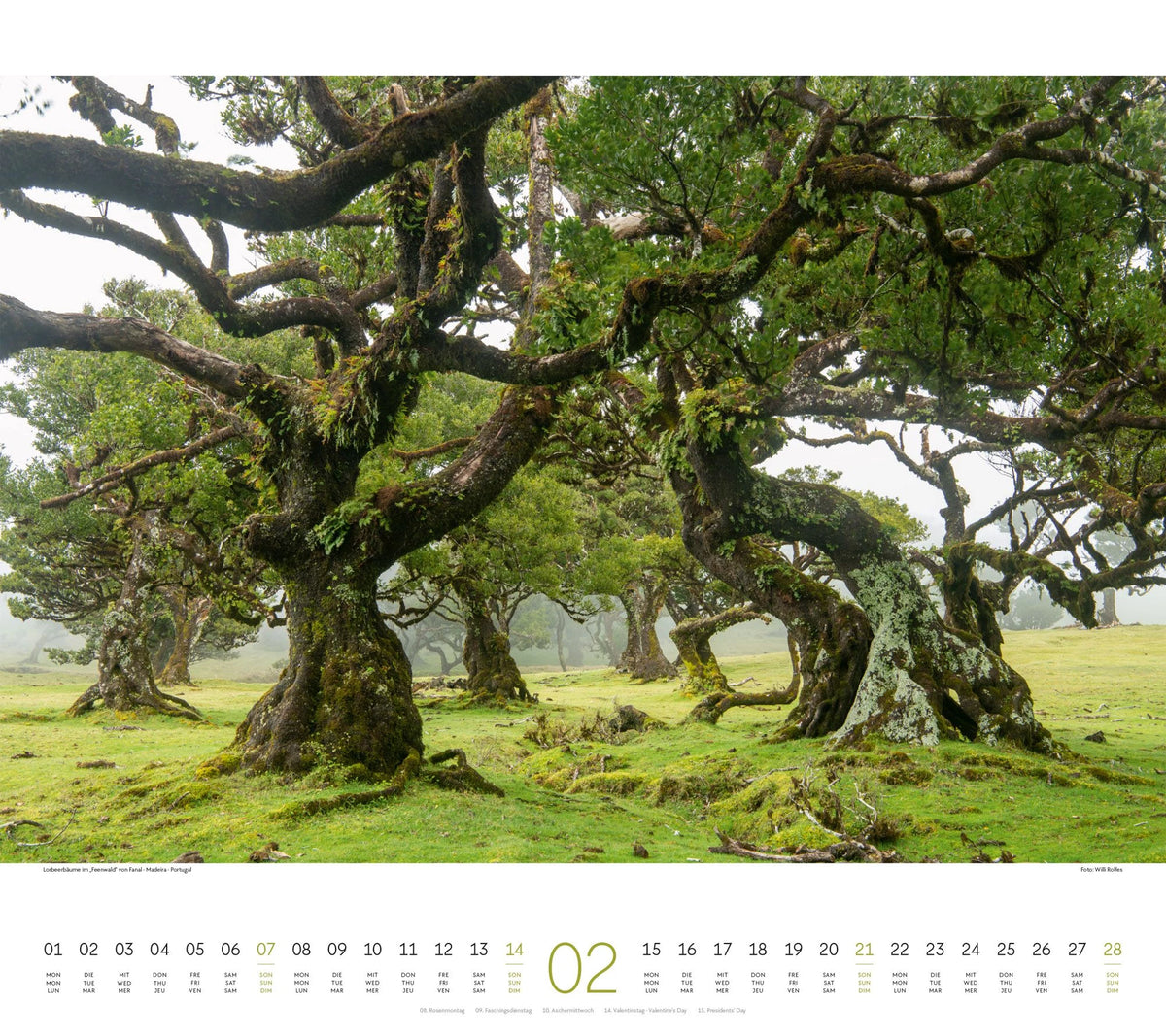 Wald Kalender 2027 – Ansicht