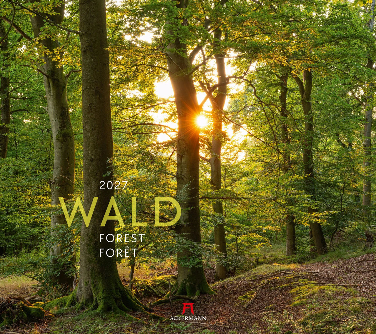 Wandkalender: Wald Kalender 2027