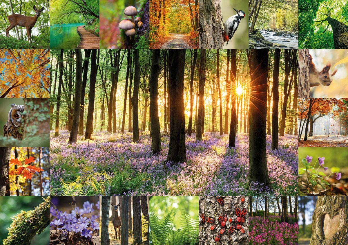 Waldbaden Puzzle – Ansicht