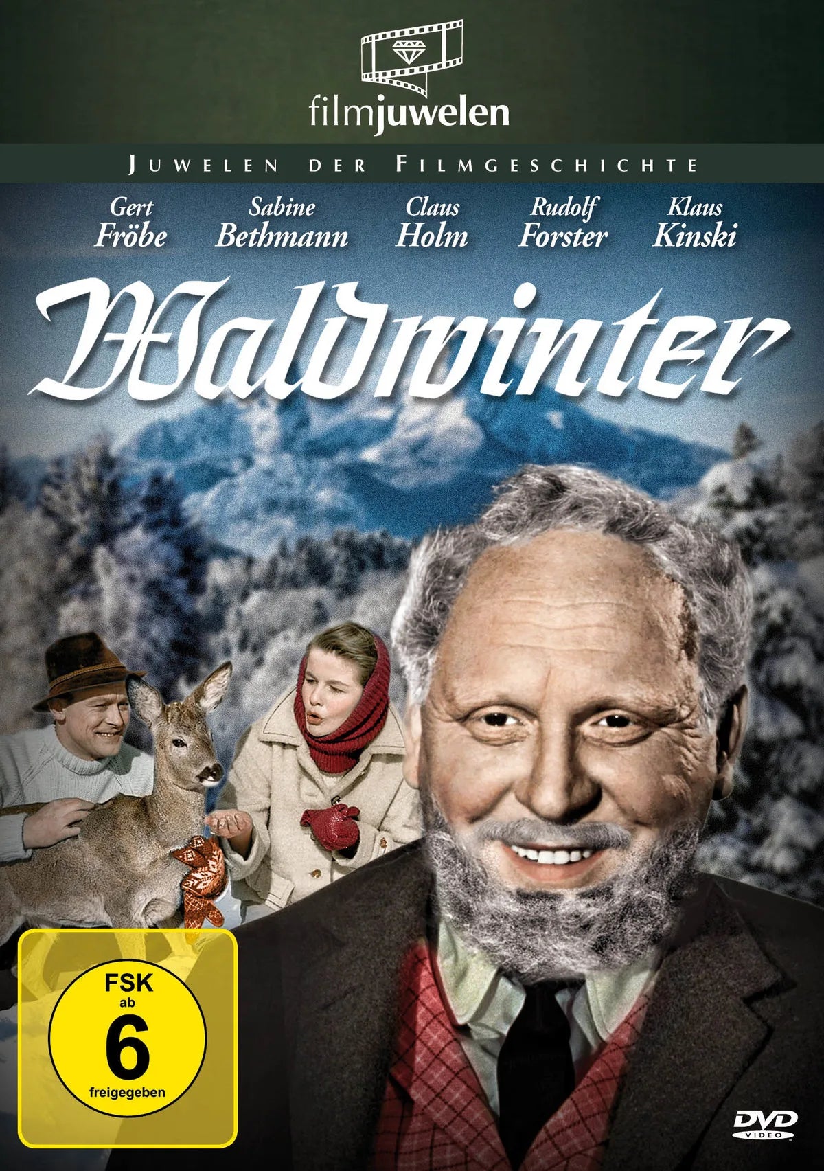 Waldwinter - DVD