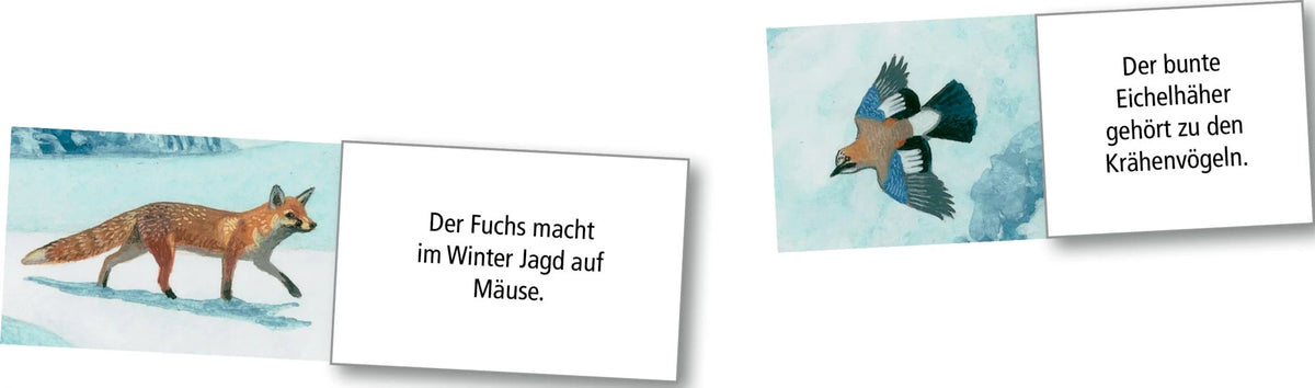Wand-Adventskalender – Wintertiere bei Nacht – Ansicht