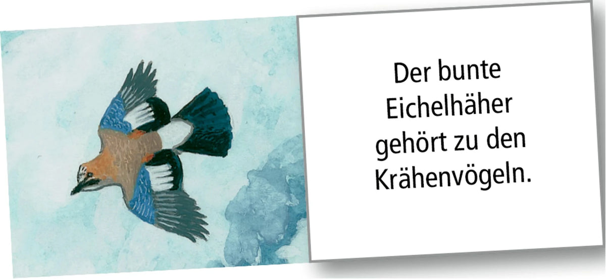 Wand-Adventskalender – Wintertiere bei Nacht – Ansicht