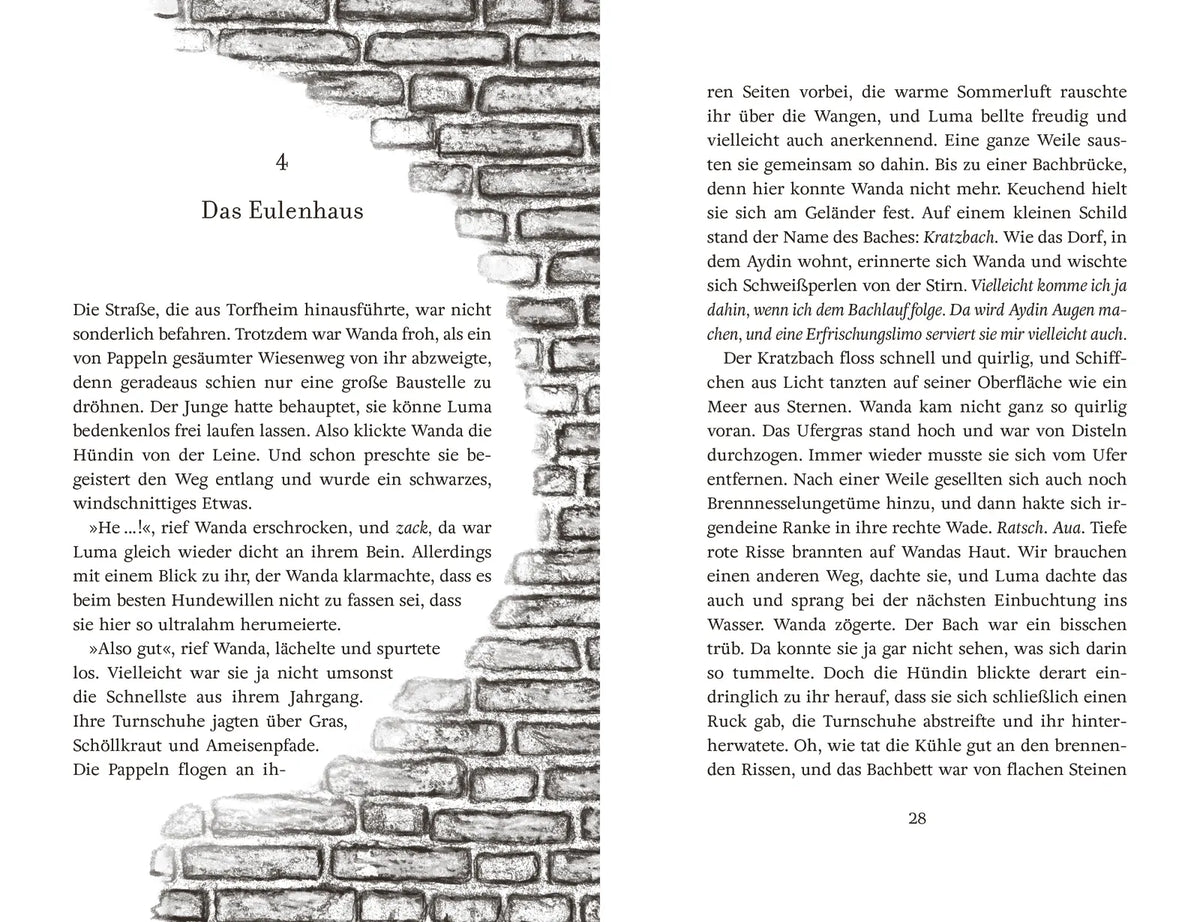 Detailansicht: Wandas Wunder ‒ Der Sommer der flüsternden Wände (Hardcover)