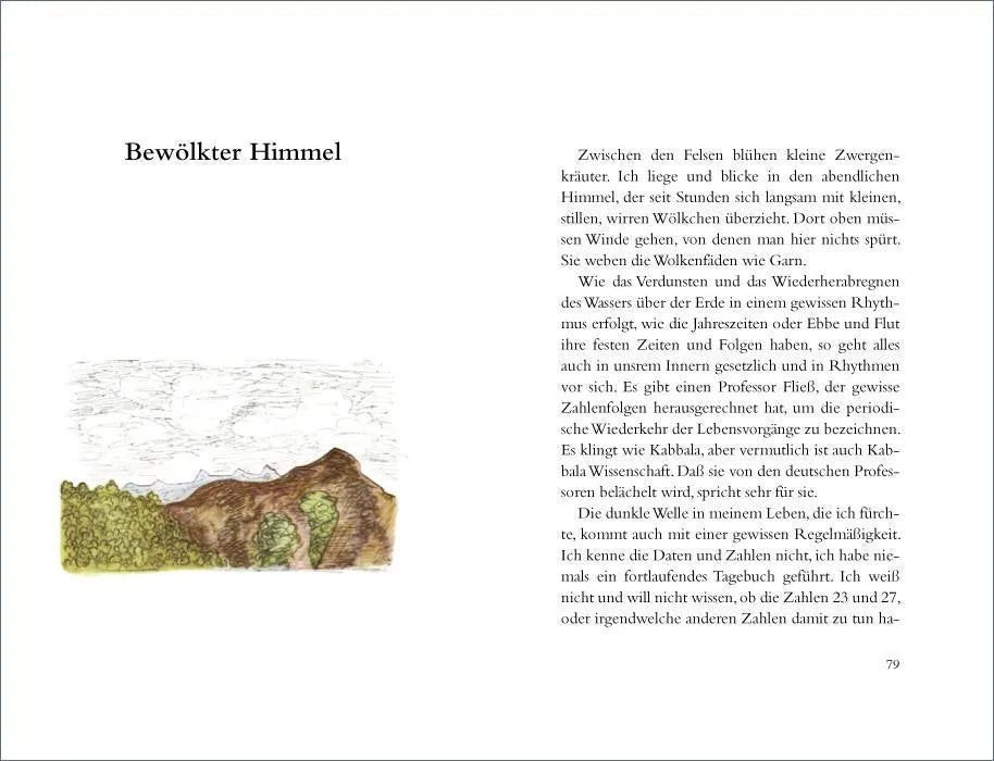 Produktansicht: Wanderung (Gebundene Ausgabe)