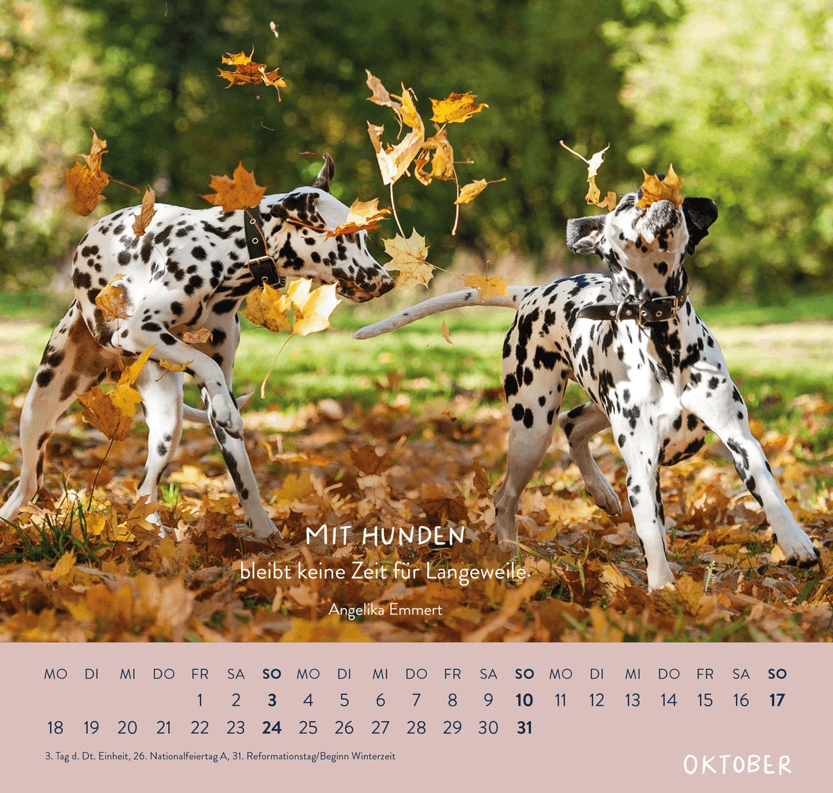 Wandkalender 2027: Für Hundefreunde – Ansicht