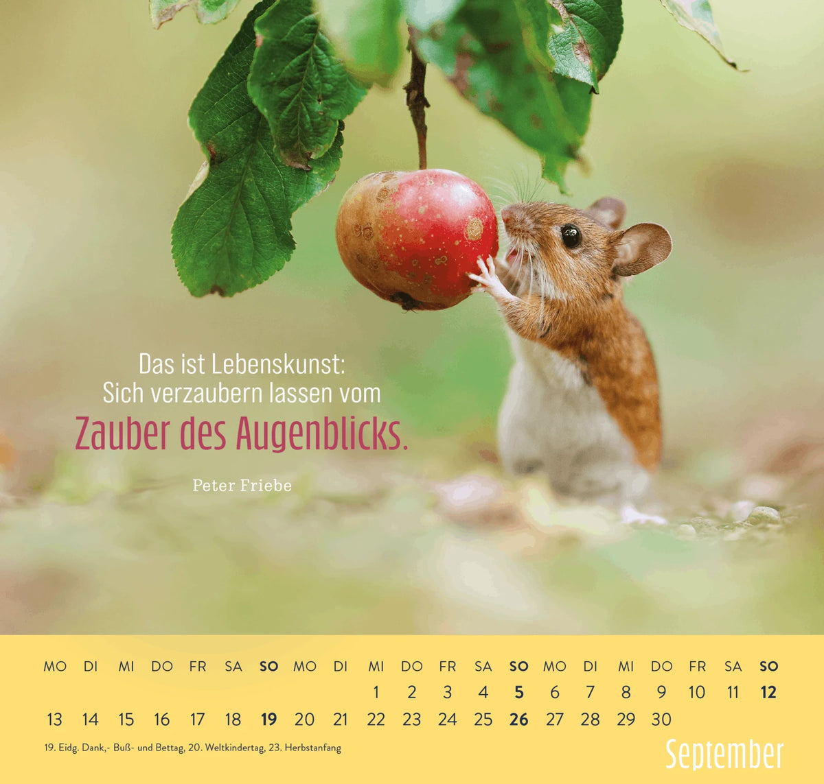 Wandkalender 2027: Kleine Glücksbringer für dein Jahr – Ansicht