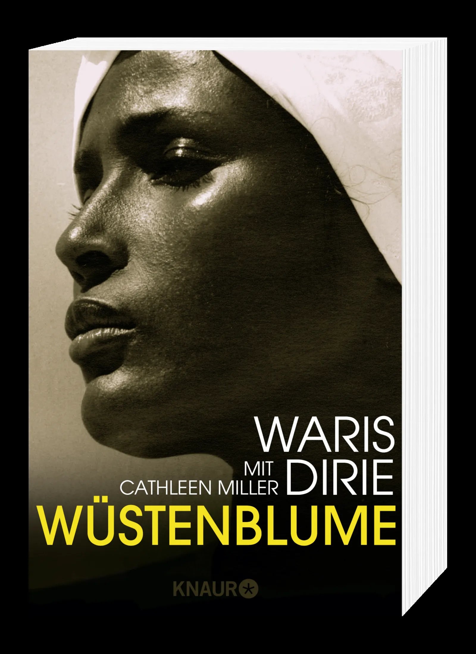 Produktansicht: Wüstenblume (Taschenbuch)