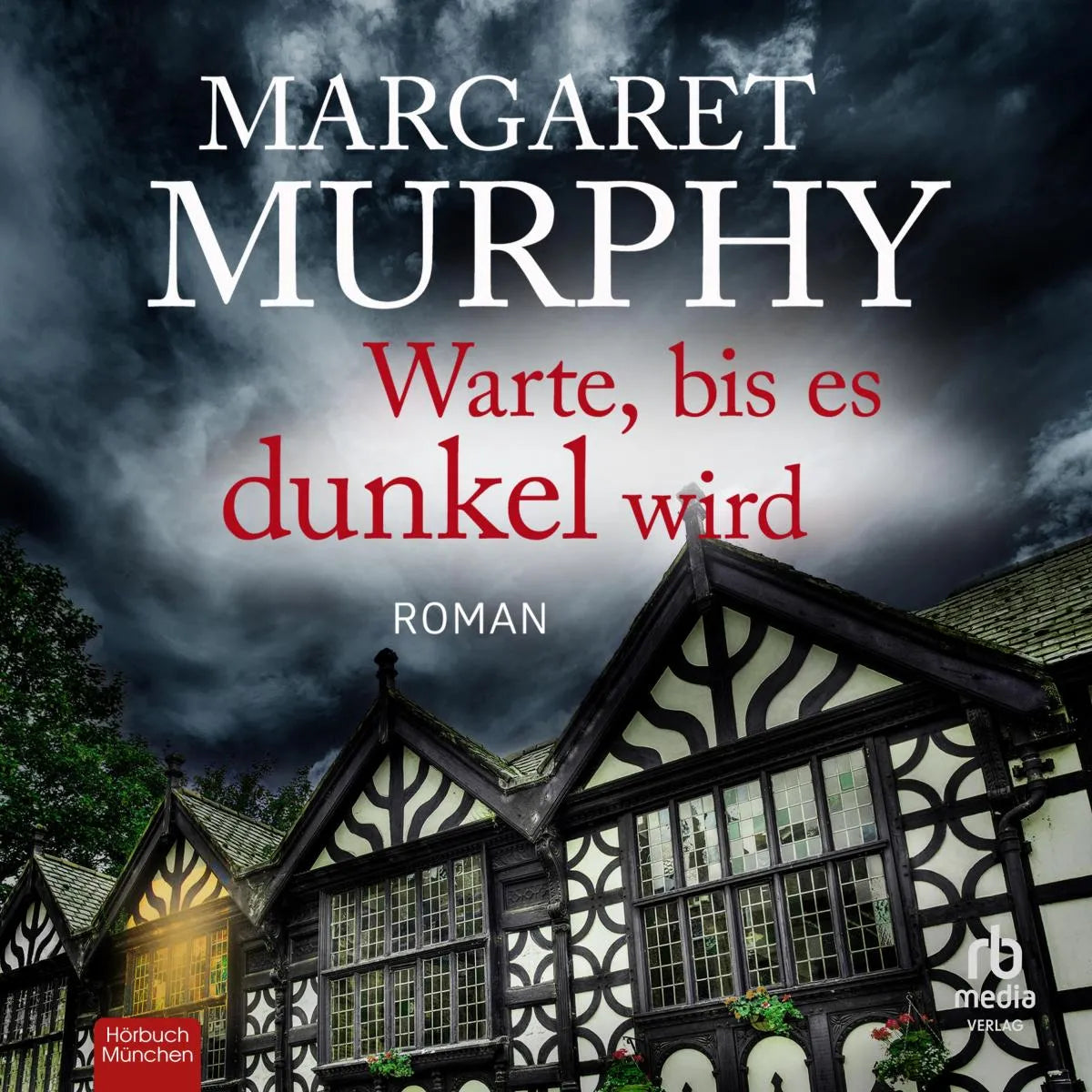 Cover: Warte, bis es dunkel wird (Hörbuch Download) von Margaret Murphy