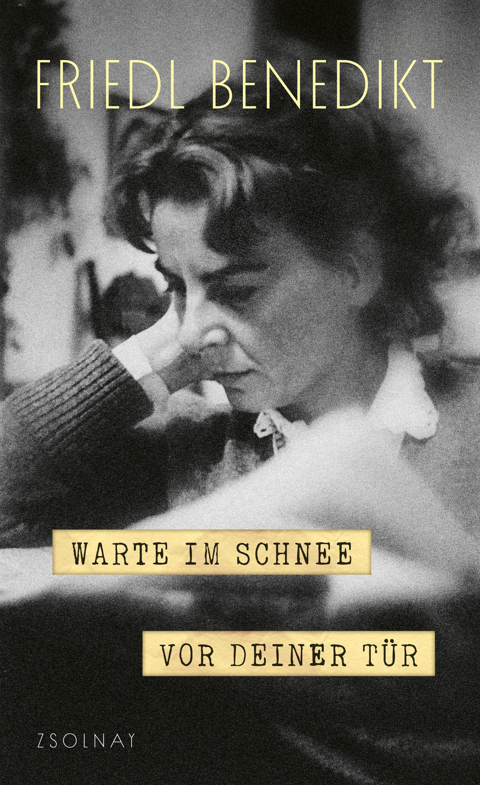 Cover: Warte im Schnee vor Deiner Tür (E-Book) von Friedl Benedikt