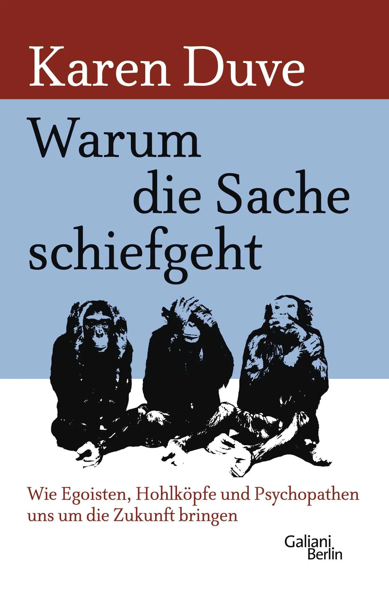Buchcover von 'Warum die Sache schiefgeht' - Gebundene Ausgabe von Karen Duve