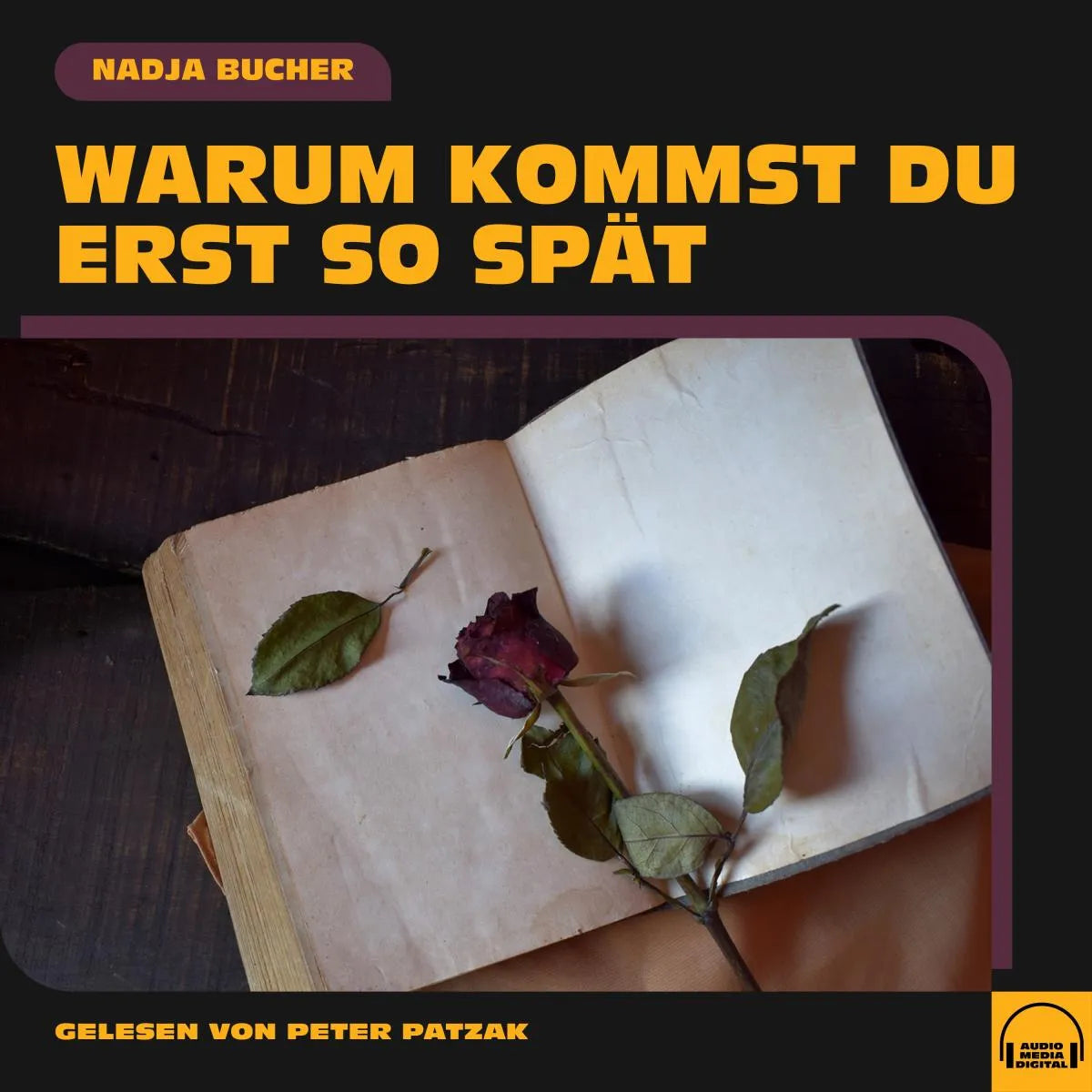 Cover: Warum kommst du erst so spät (Hörbuch Download) von Nadja Bucher