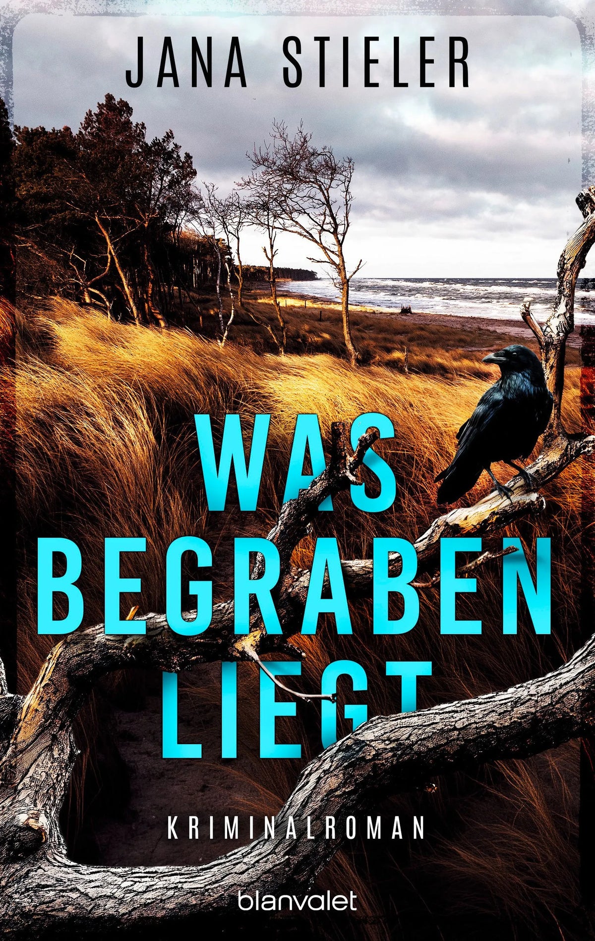 Cover: Was begraben liegt (Paperback) von Jana Stieler