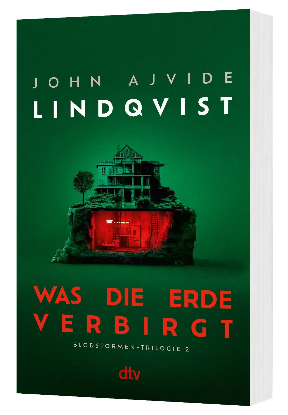 Detailansicht: Was die Erde verbirgt (Taschenbuch)
