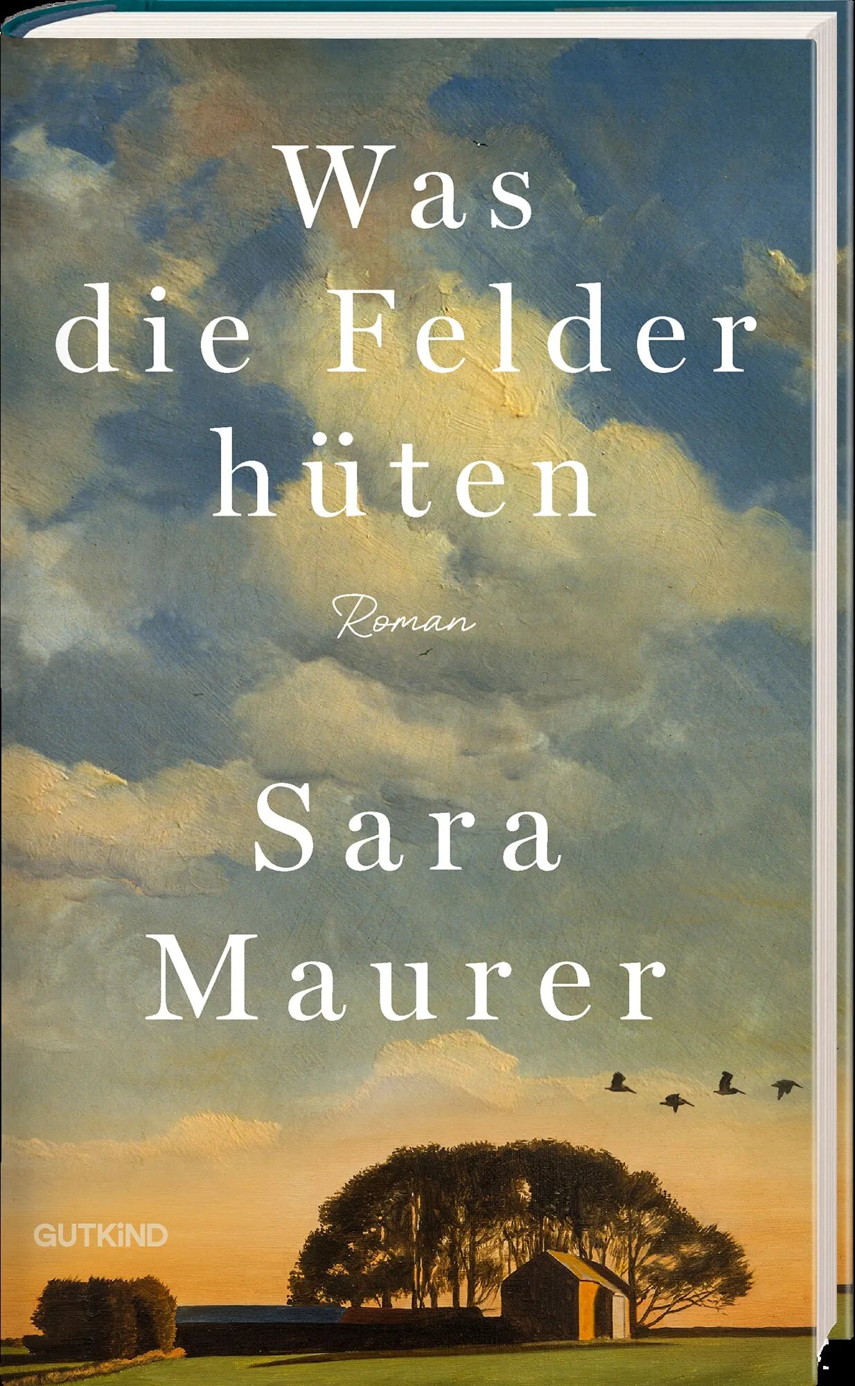 Detailansicht: Was die Felder hüten (Hardcover)