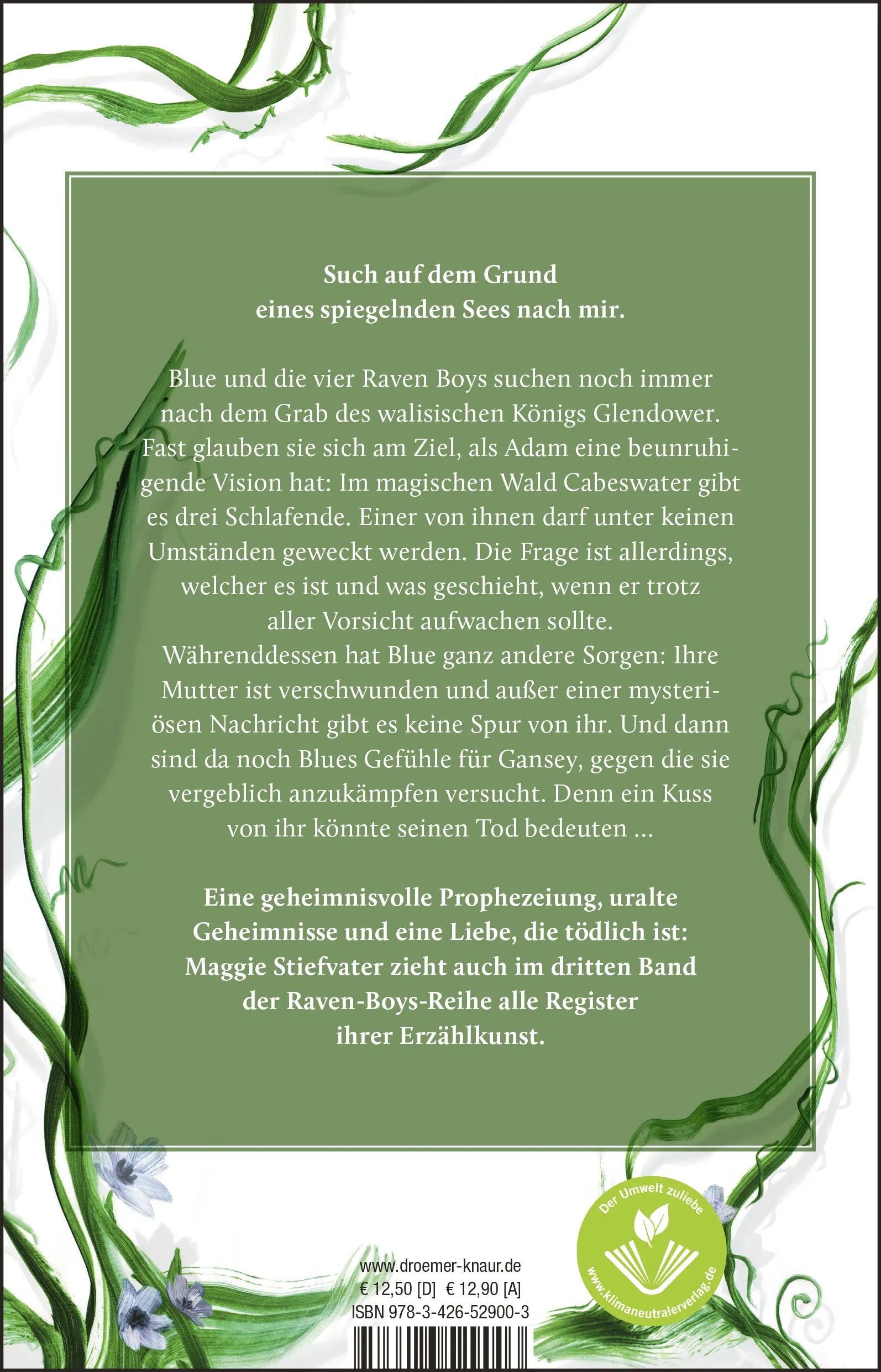 Buchrückseite von 'Was die Spiegel wissen' mit Klappentext - Taschenbuch