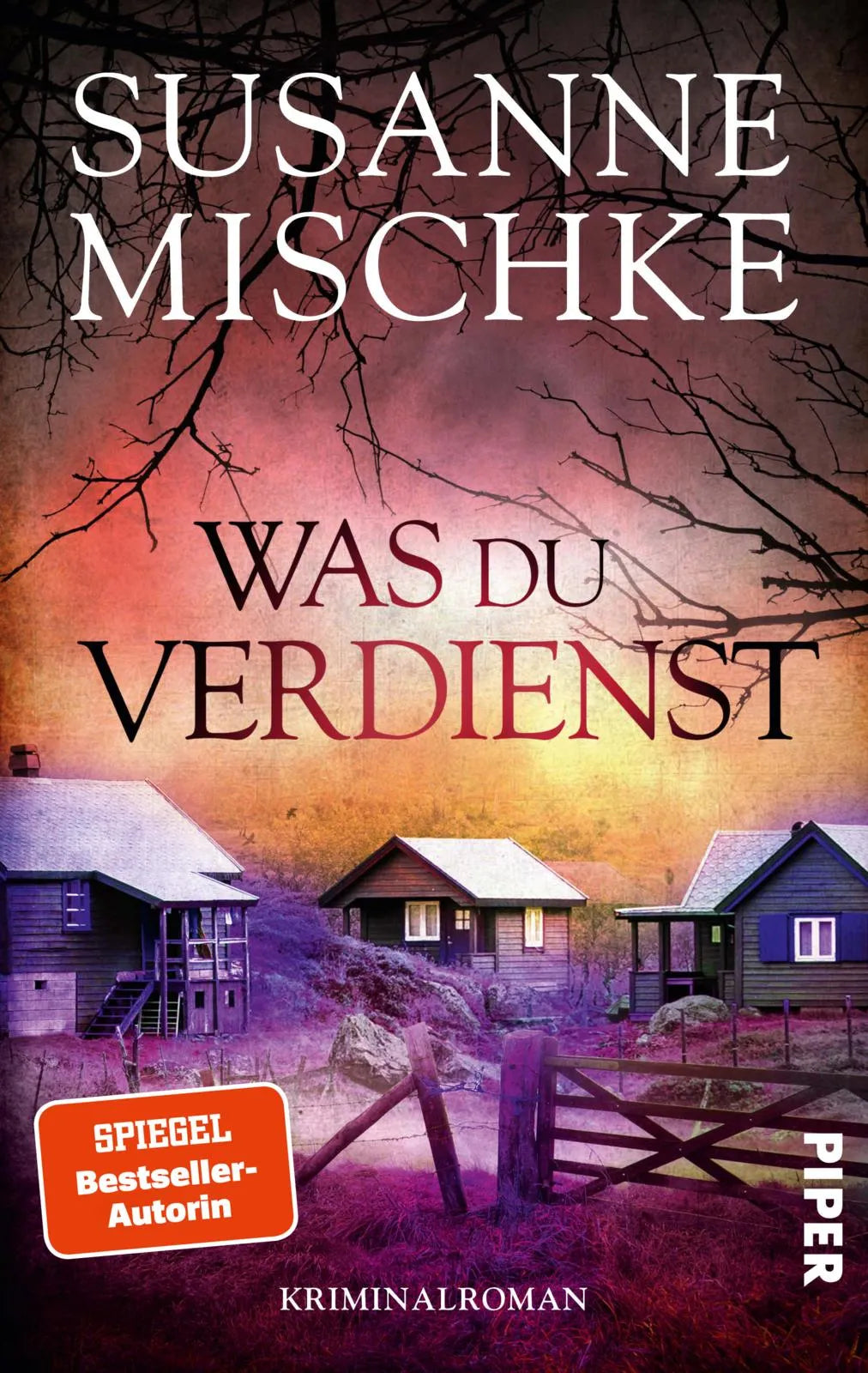 Cover: Was du verdienst (Paperback) von Susanne Mischke