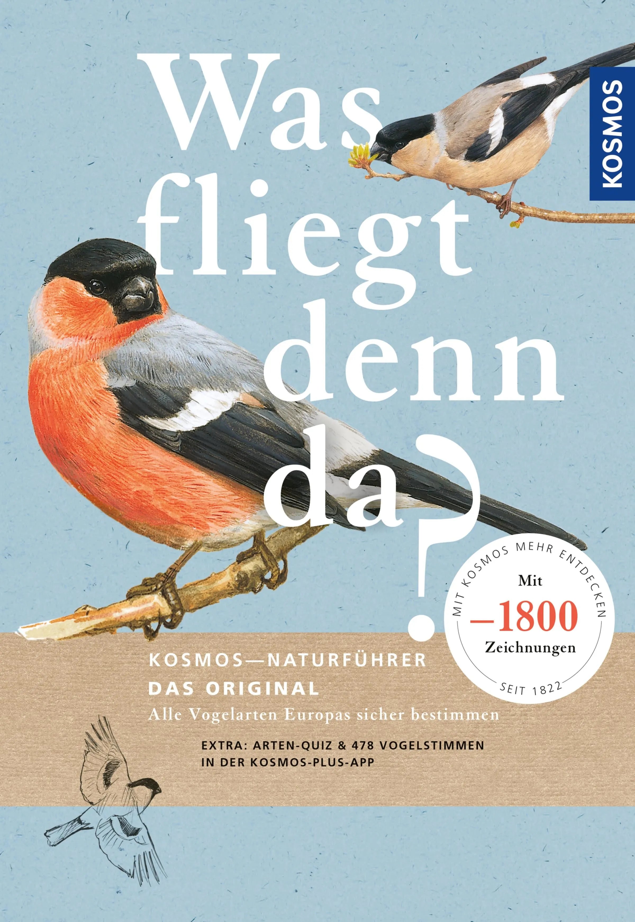 Cover: Was fliegt denn da? Das Original (E-Book) von Peter H. Barthel