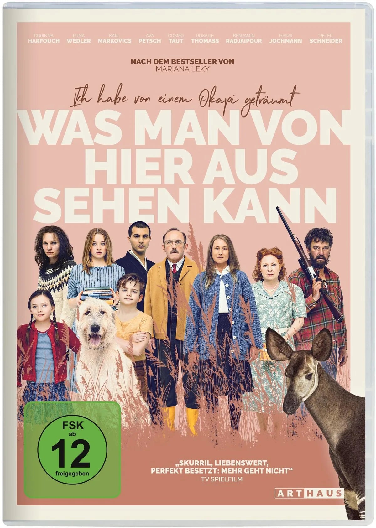 Was man von hier aus sehen kann - DVD