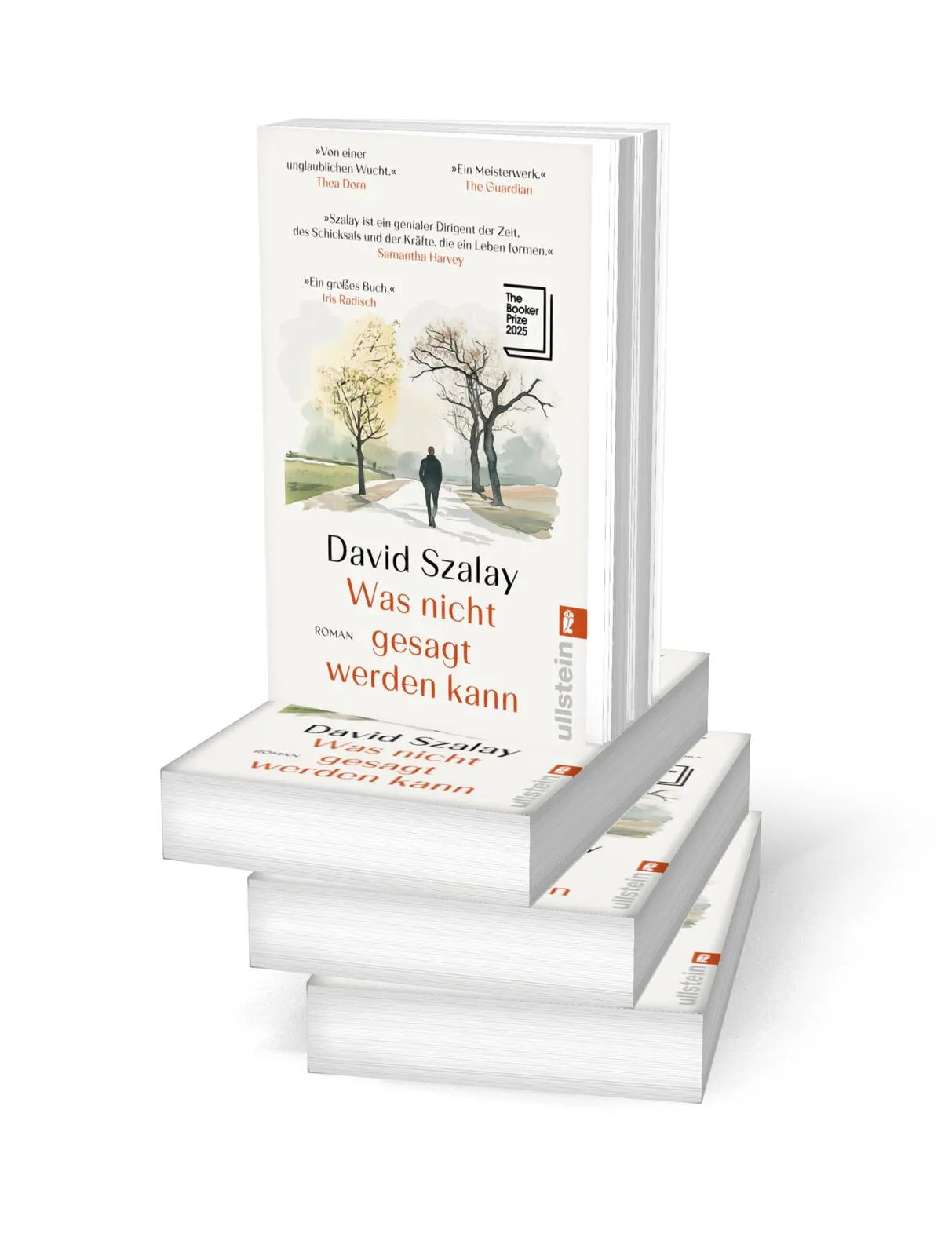 Detailansicht: Was nicht gesagt werden kann (Taschenbuch)