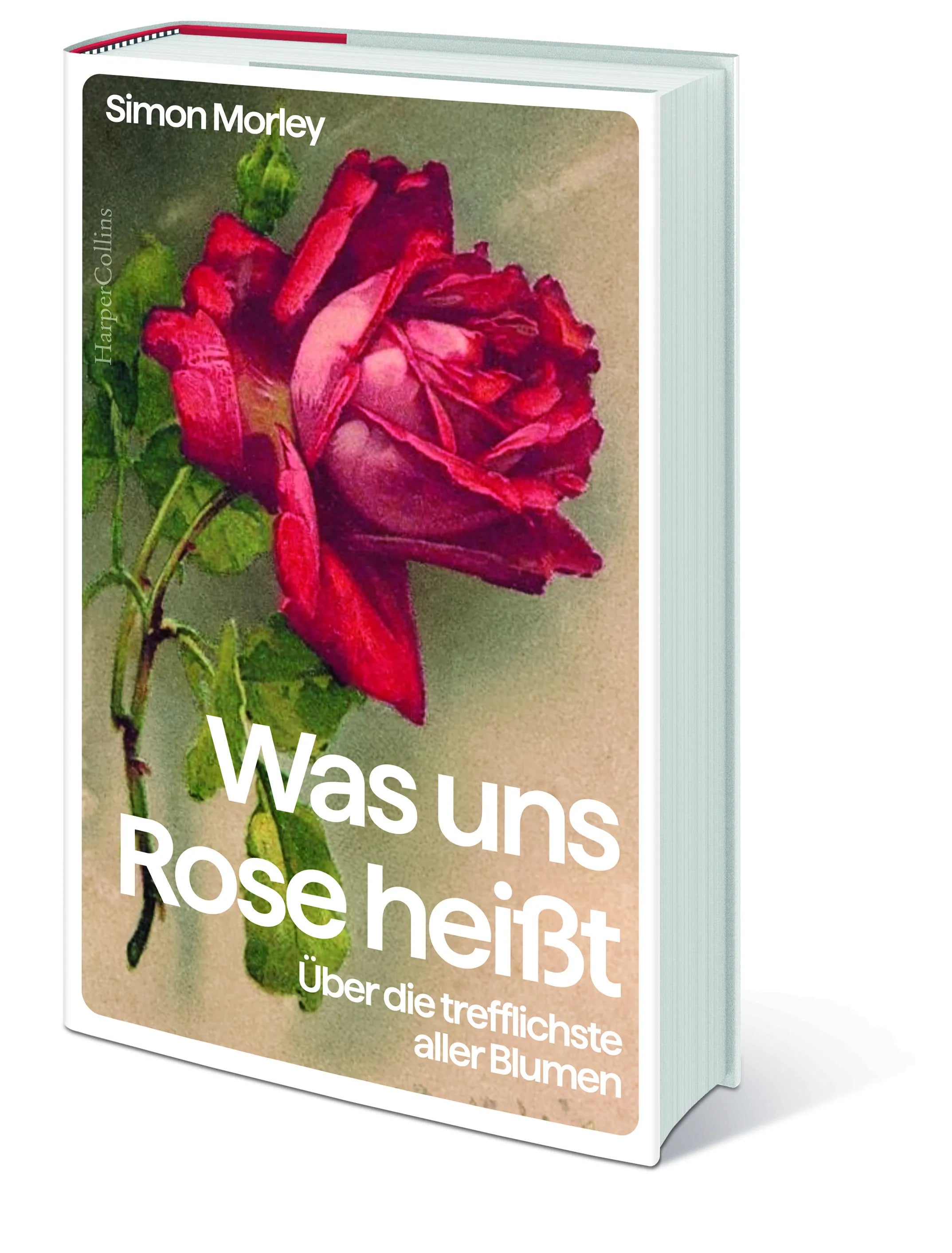 Simon Morley - Was uns Rose heißt. Über die trefflichste aller Blumen