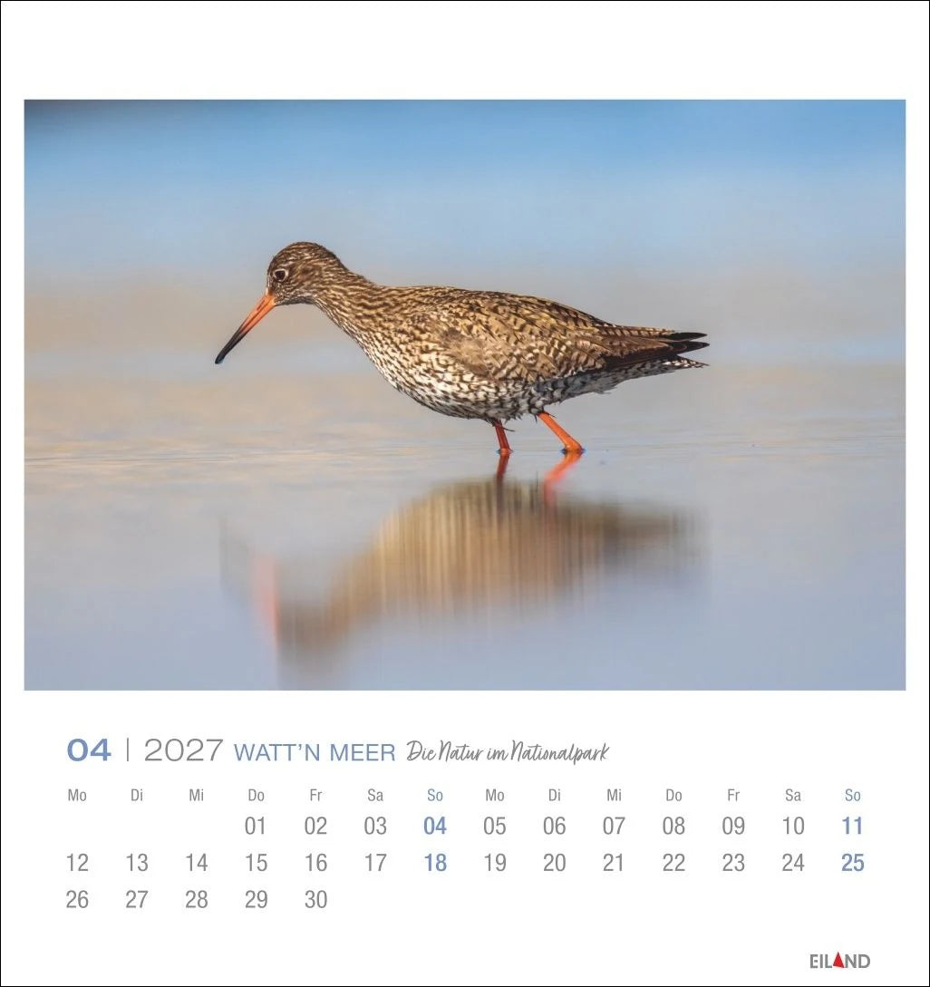 Watt'n Meer Postkartenkalender 2027 - Die Natur im Nationalpark – Ansicht